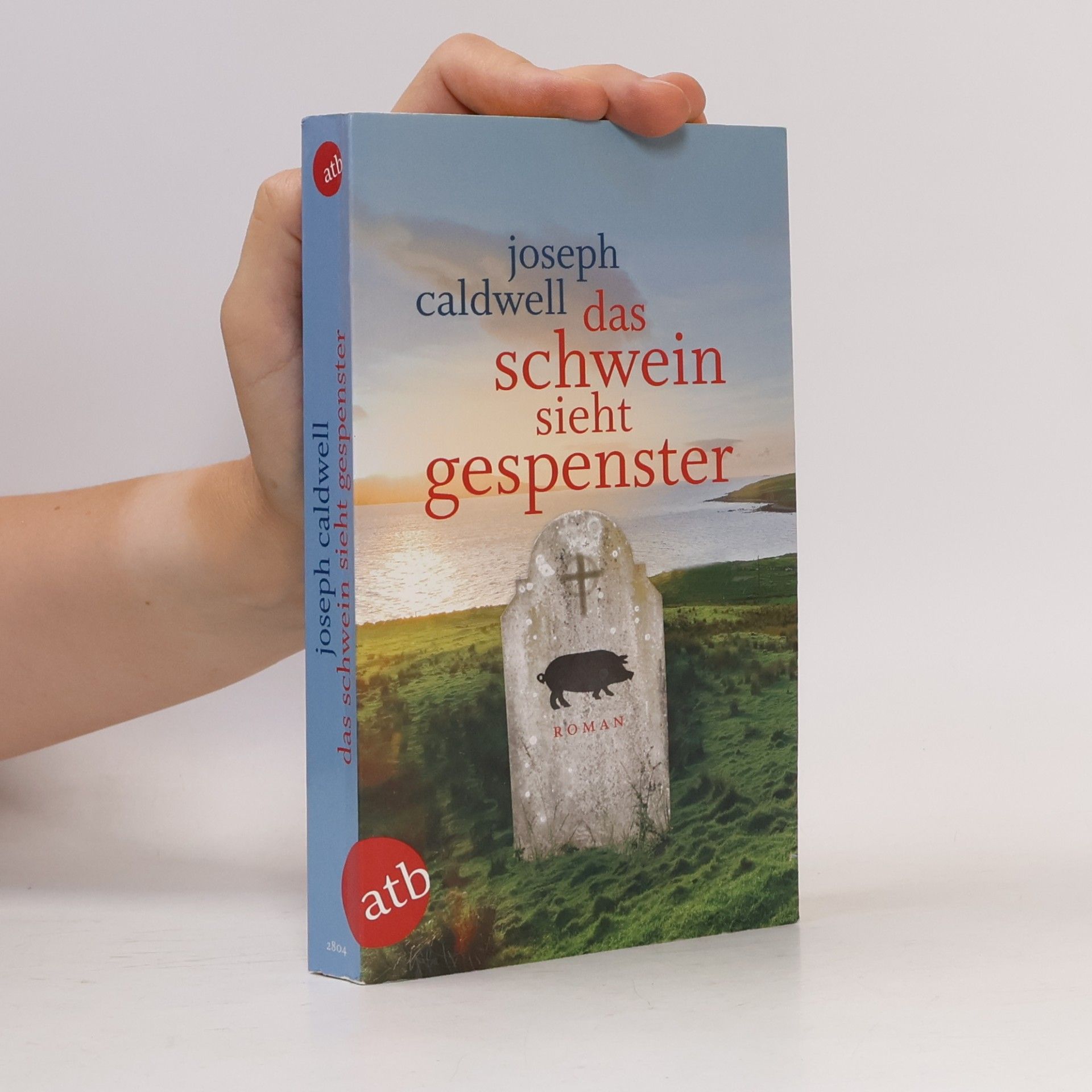 Joseph Caldwell Das Schwein sieht Gespenster. Roman