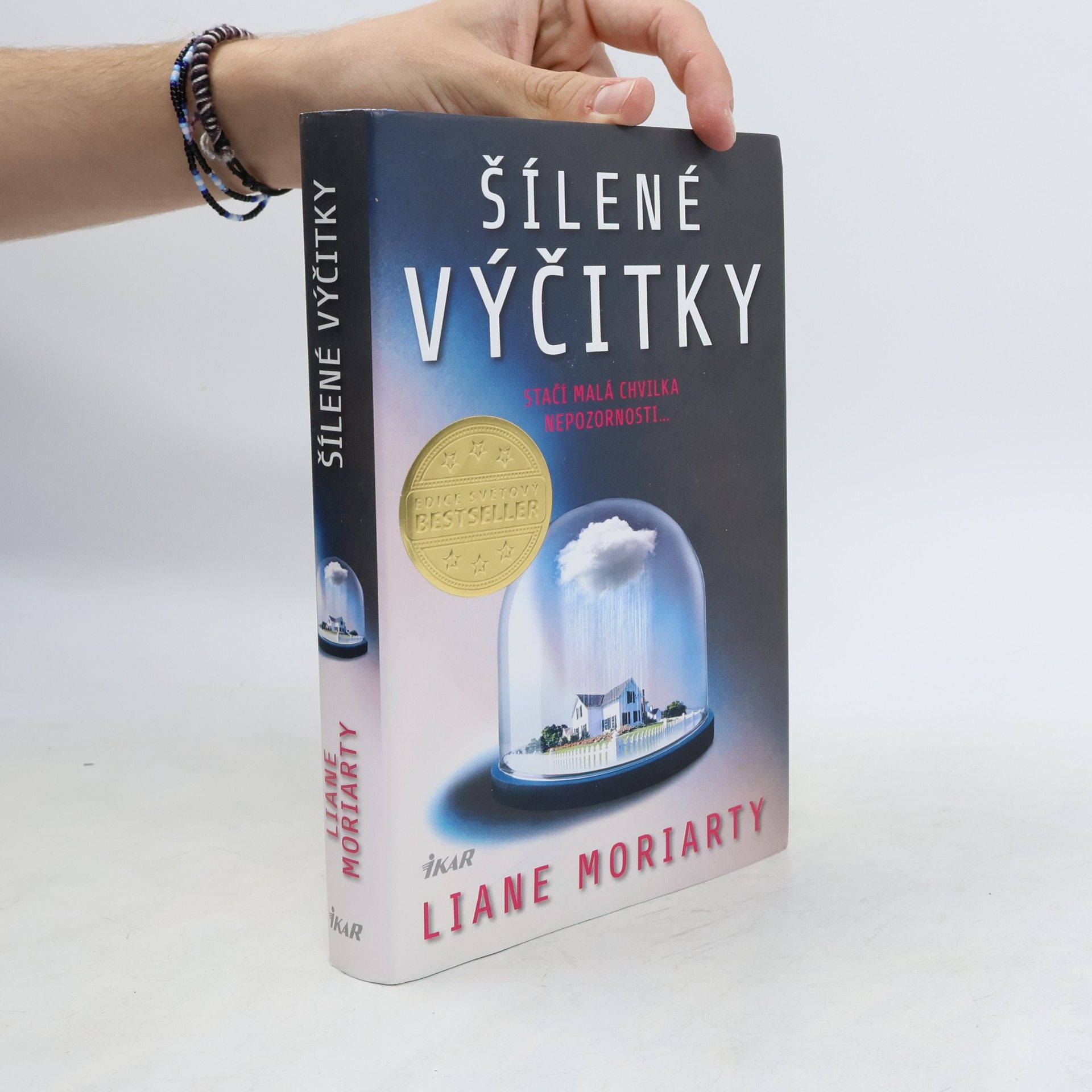 Liane Moriarty Šílené výčitky