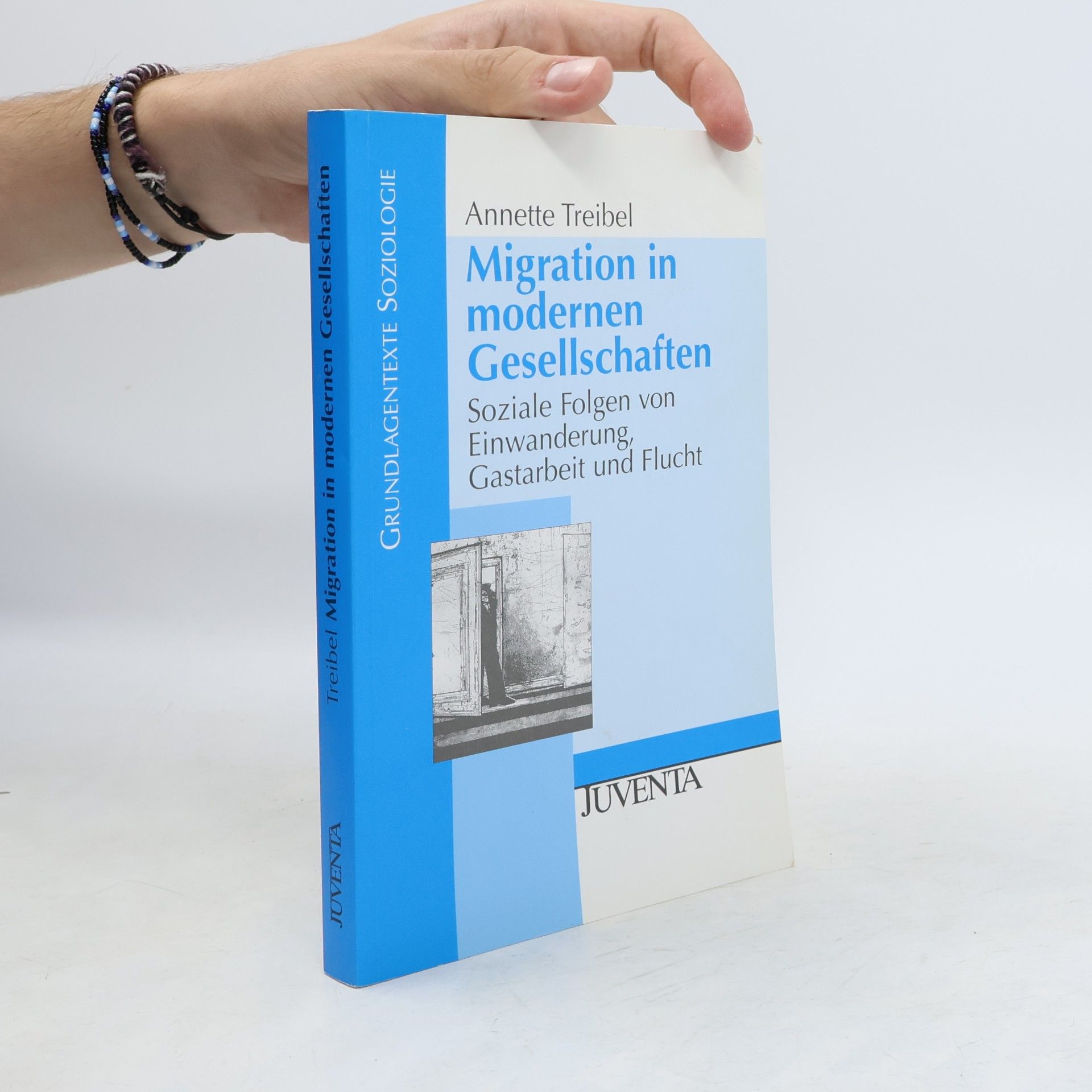 Annette Treibel Migration in modernen Gesellschaften