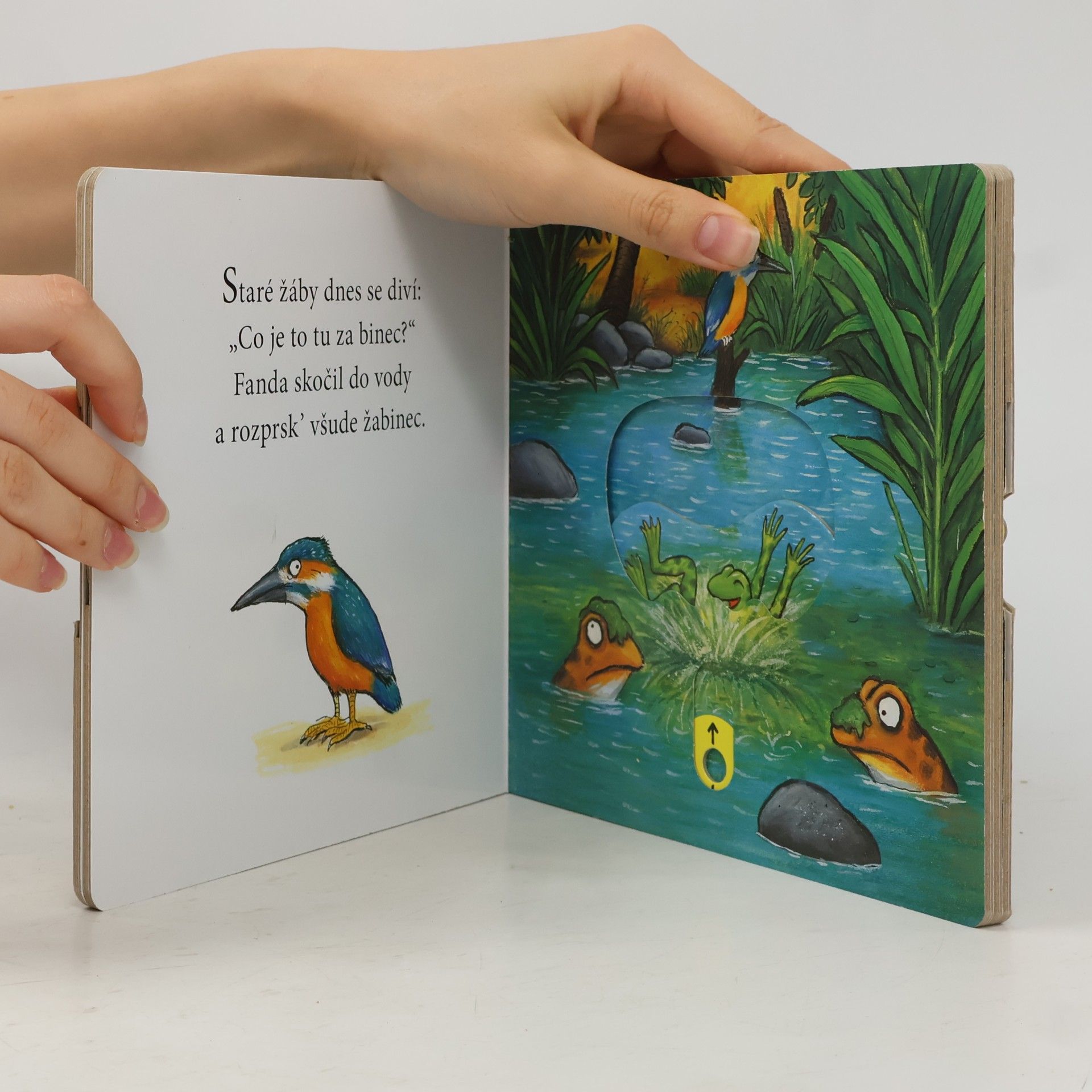 Axel Scheffler Žabák Fanda