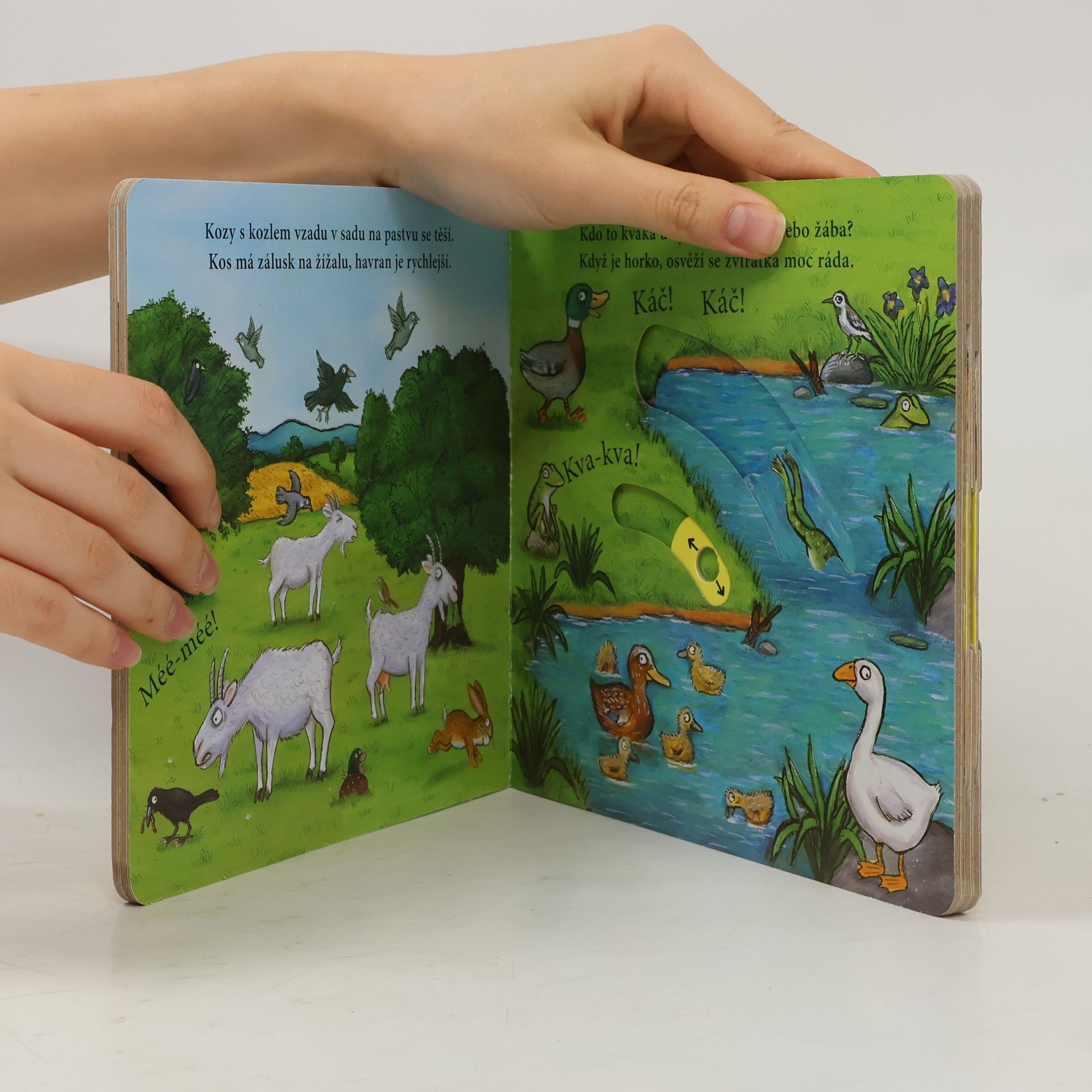 Axel Scheffler Na statku