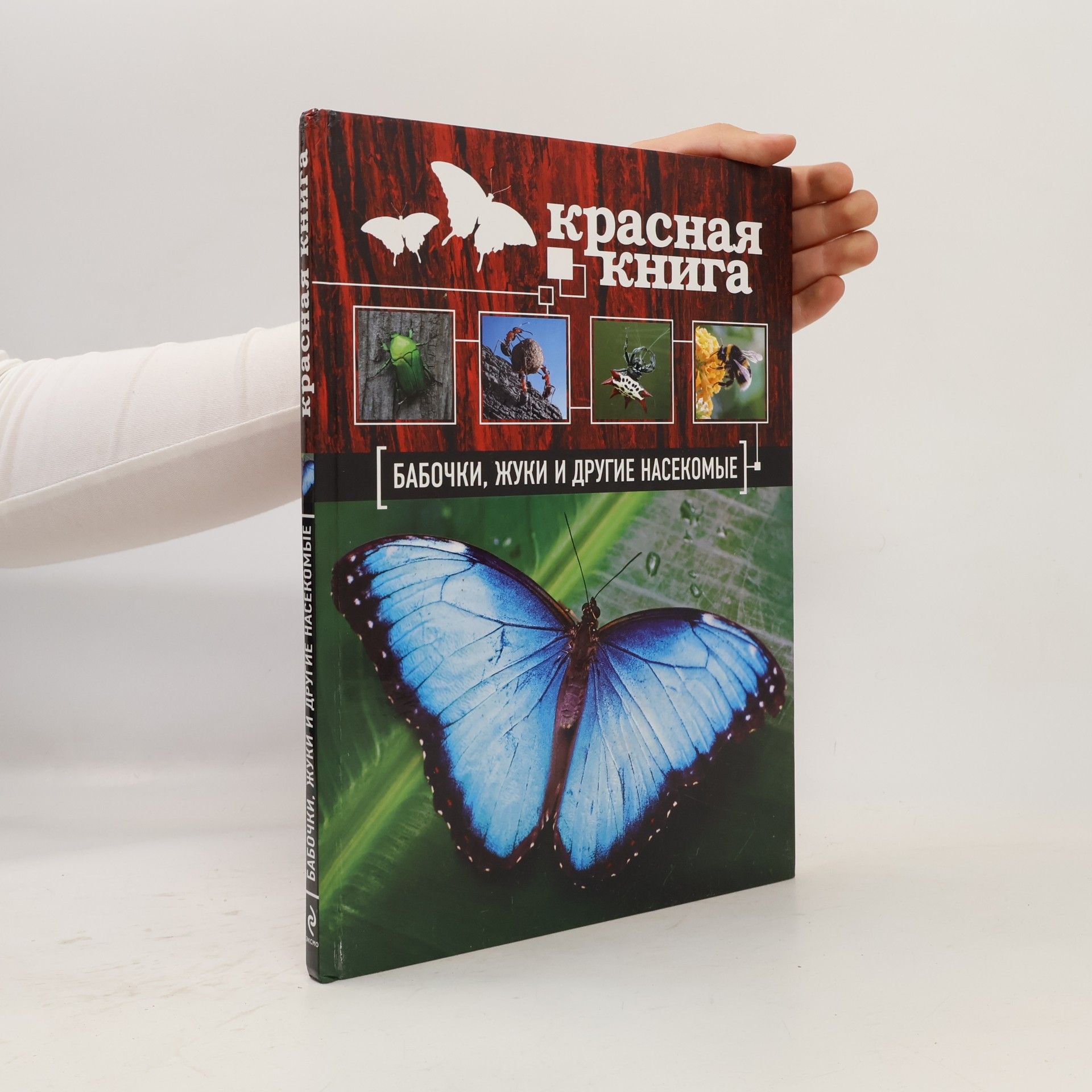 Autorenkollektiv Красная книга. Бабочки, жуки и другие насекомые