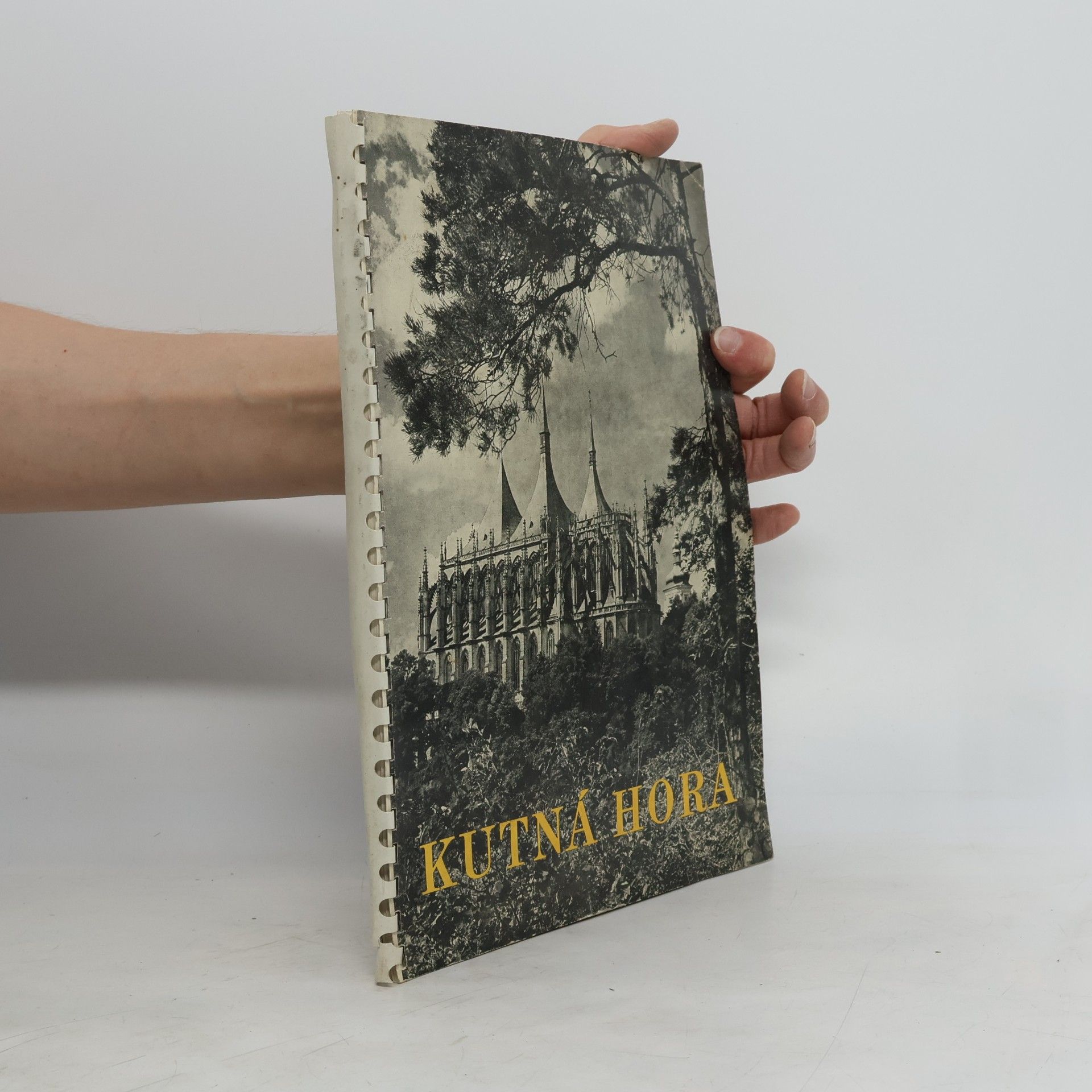 Kolektiv autorů Kutná Hora