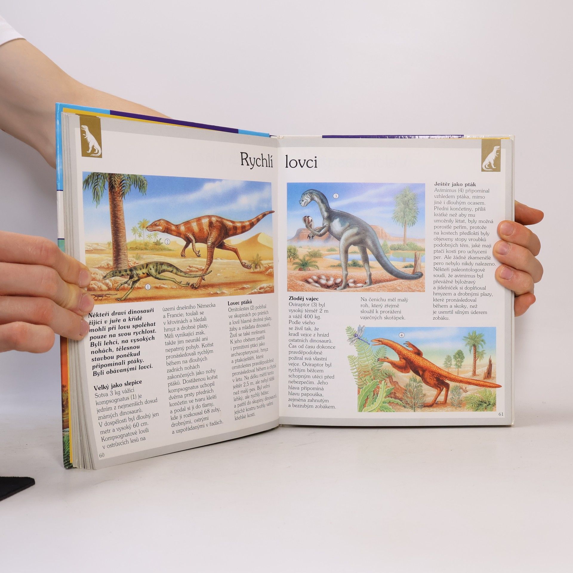 Laure Cambournac Dinosauři a další vyhynulá zvířata