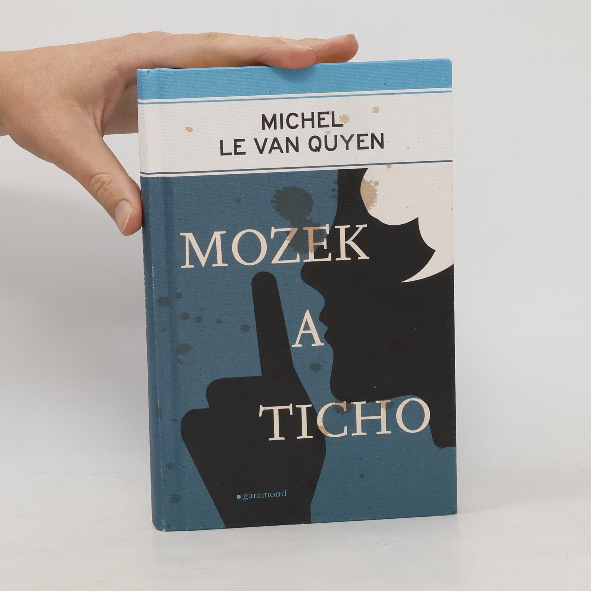 Michel Le Van Quyen Mozek a ticho