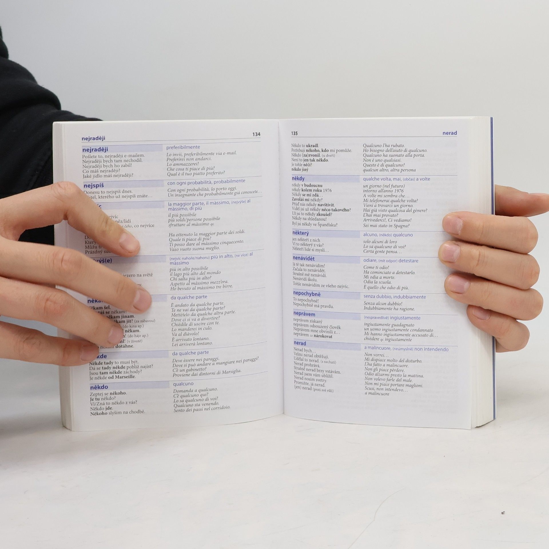 Autorenkollektiv Česko-italský mluvník