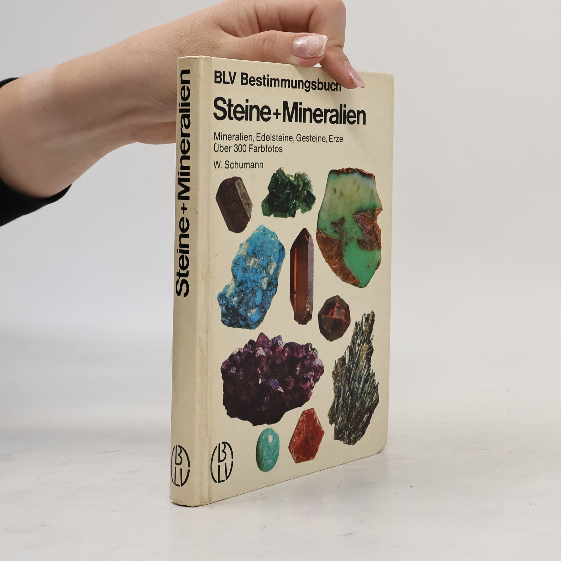 Stein + Mineralien