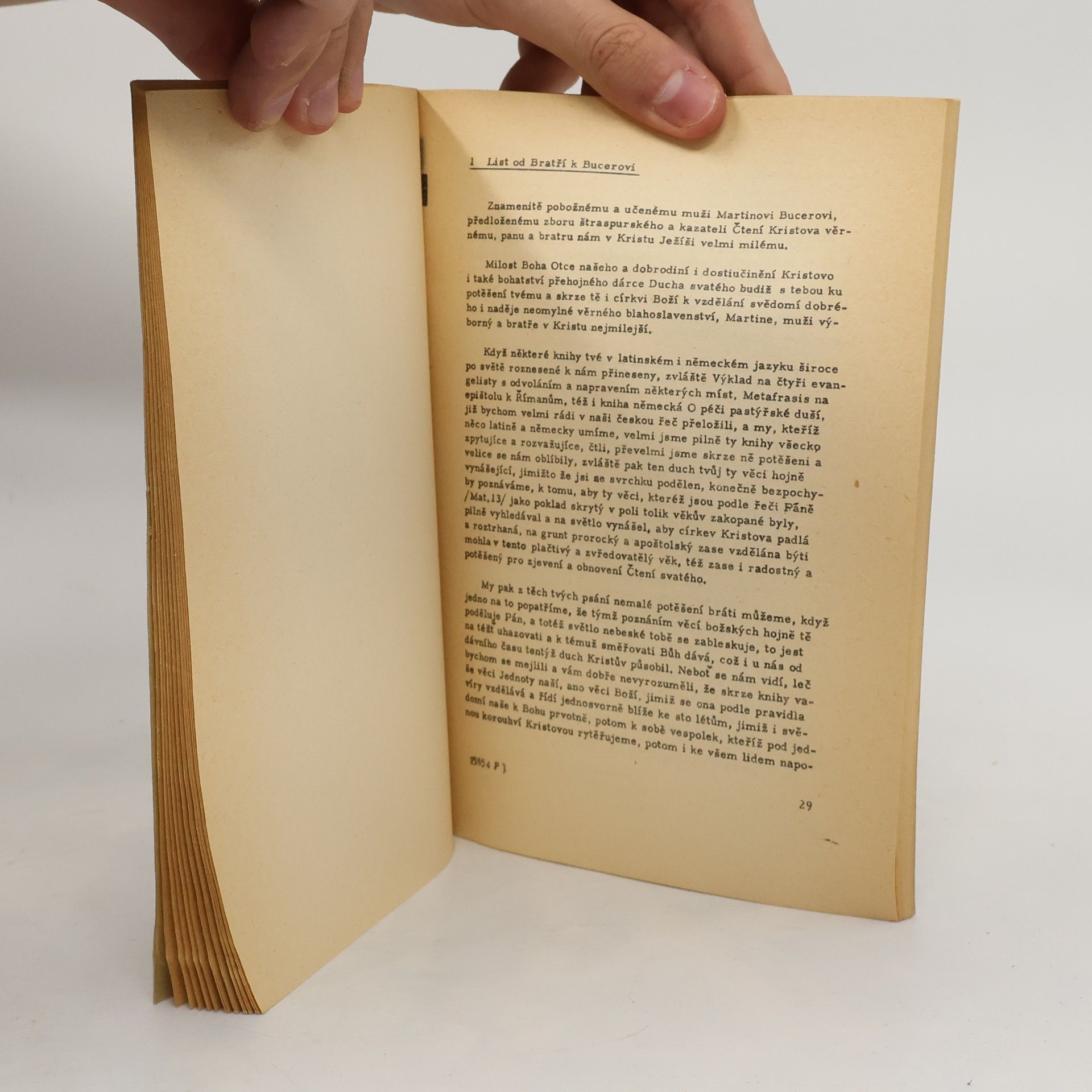 Amedeo Molnár Čeští bratří a Martin Bucer