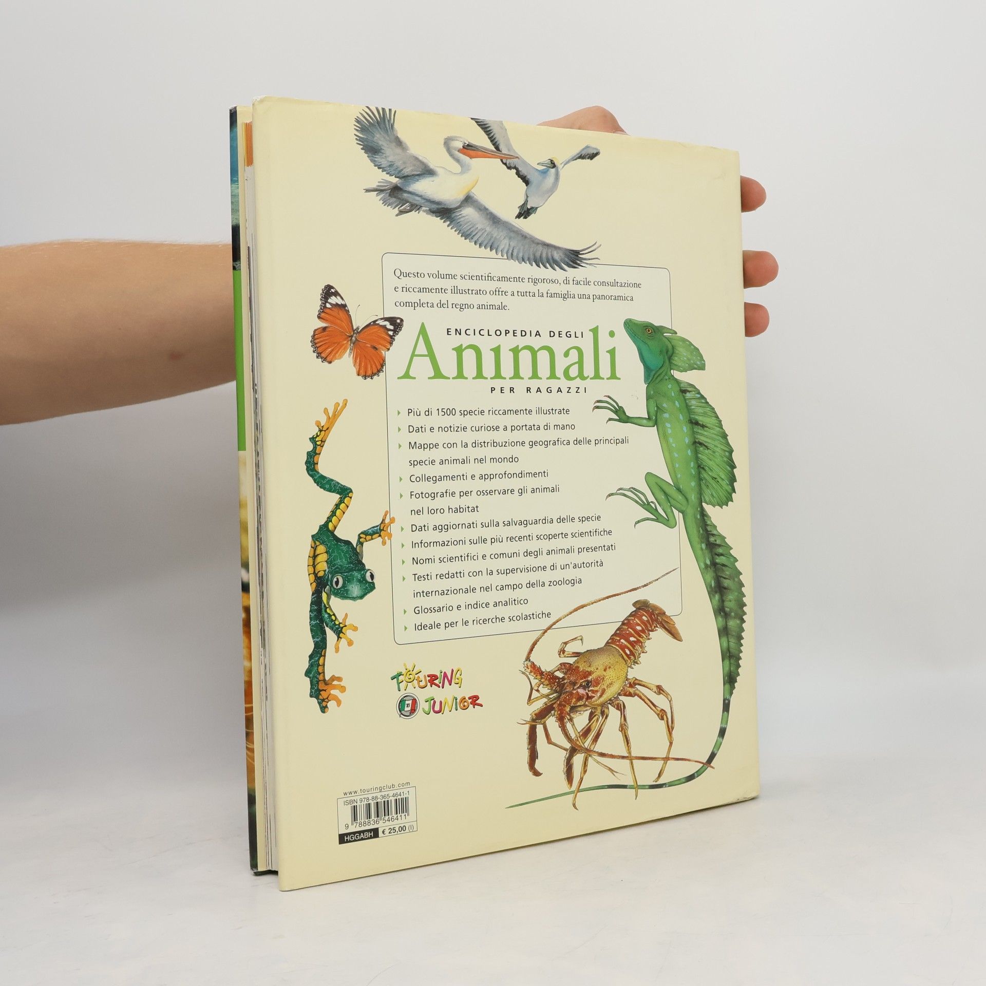 Unknown Author Enciclopedie e repertori: Enciclopedia degli animali per ragazzi. Ediz. illustrata