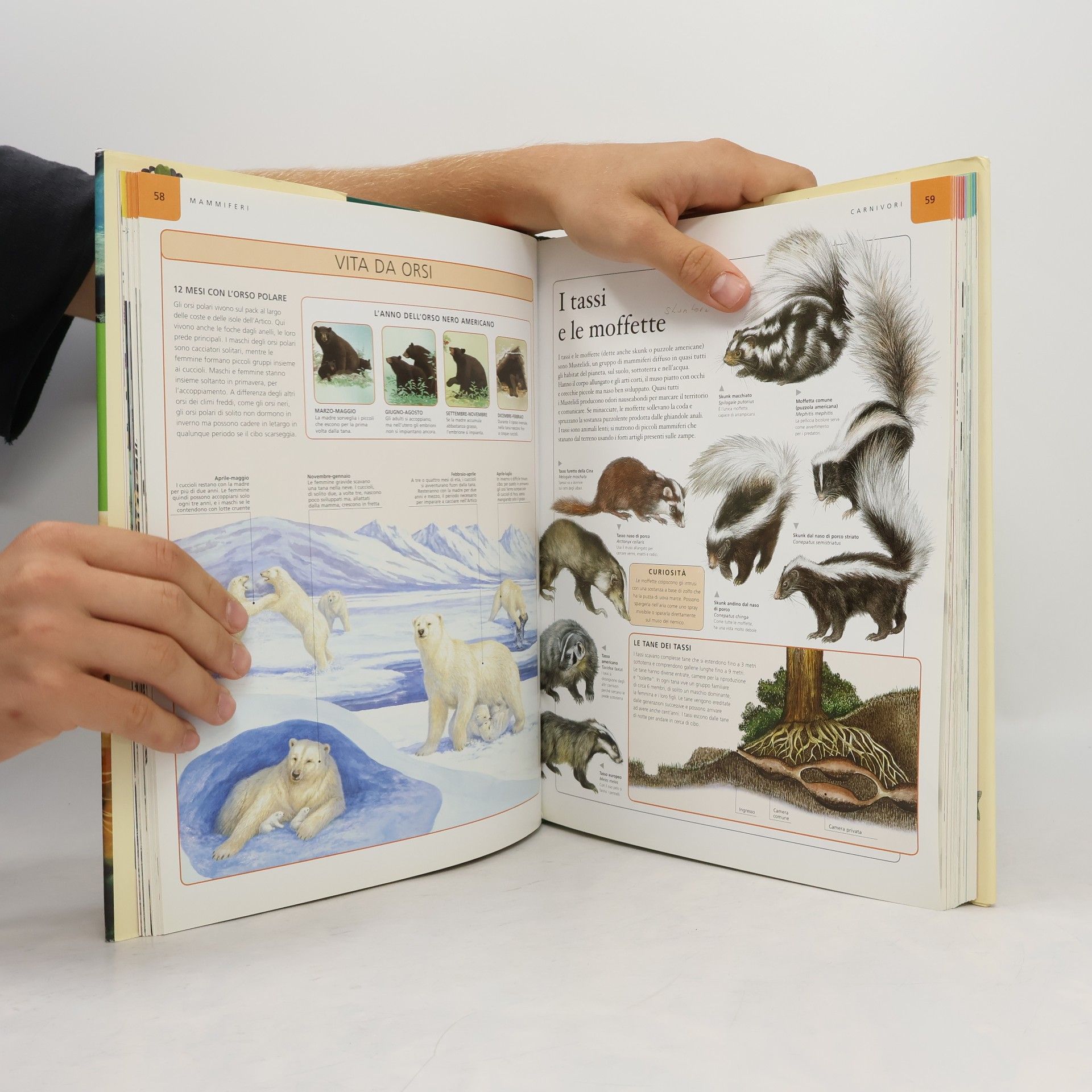Unknown Author Enciclopedie e repertori: Enciclopedia degli animali per ragazzi. Ediz. illustrata
