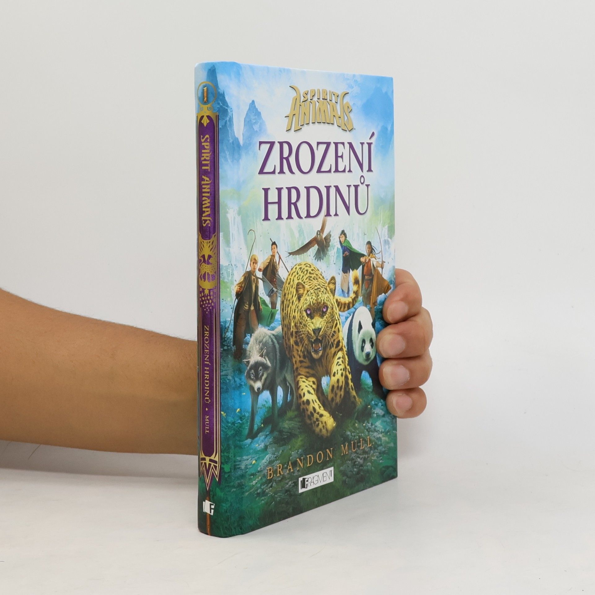 Brandon Mull Zrození hrdinů