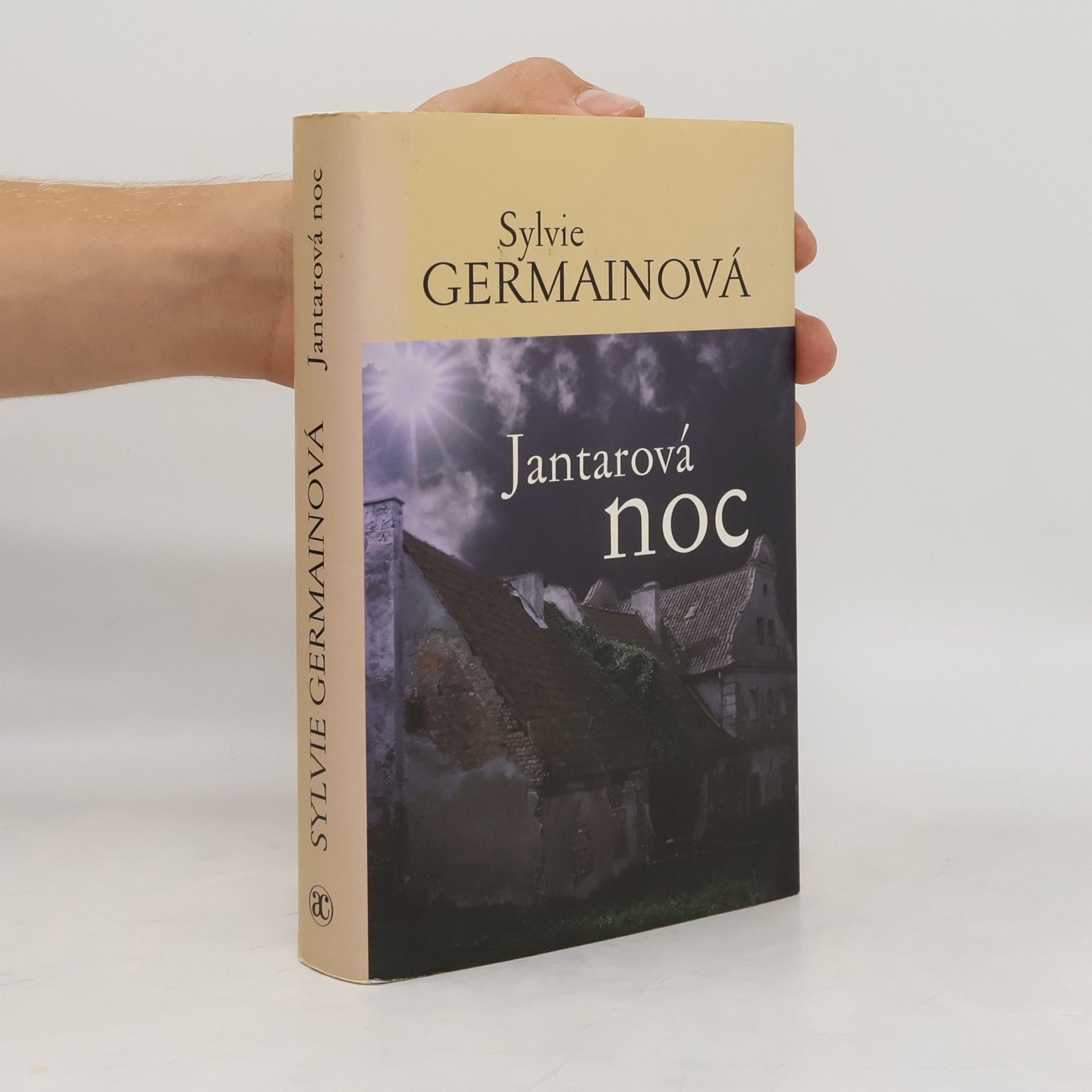 Sylvie Germain Jantarová noc