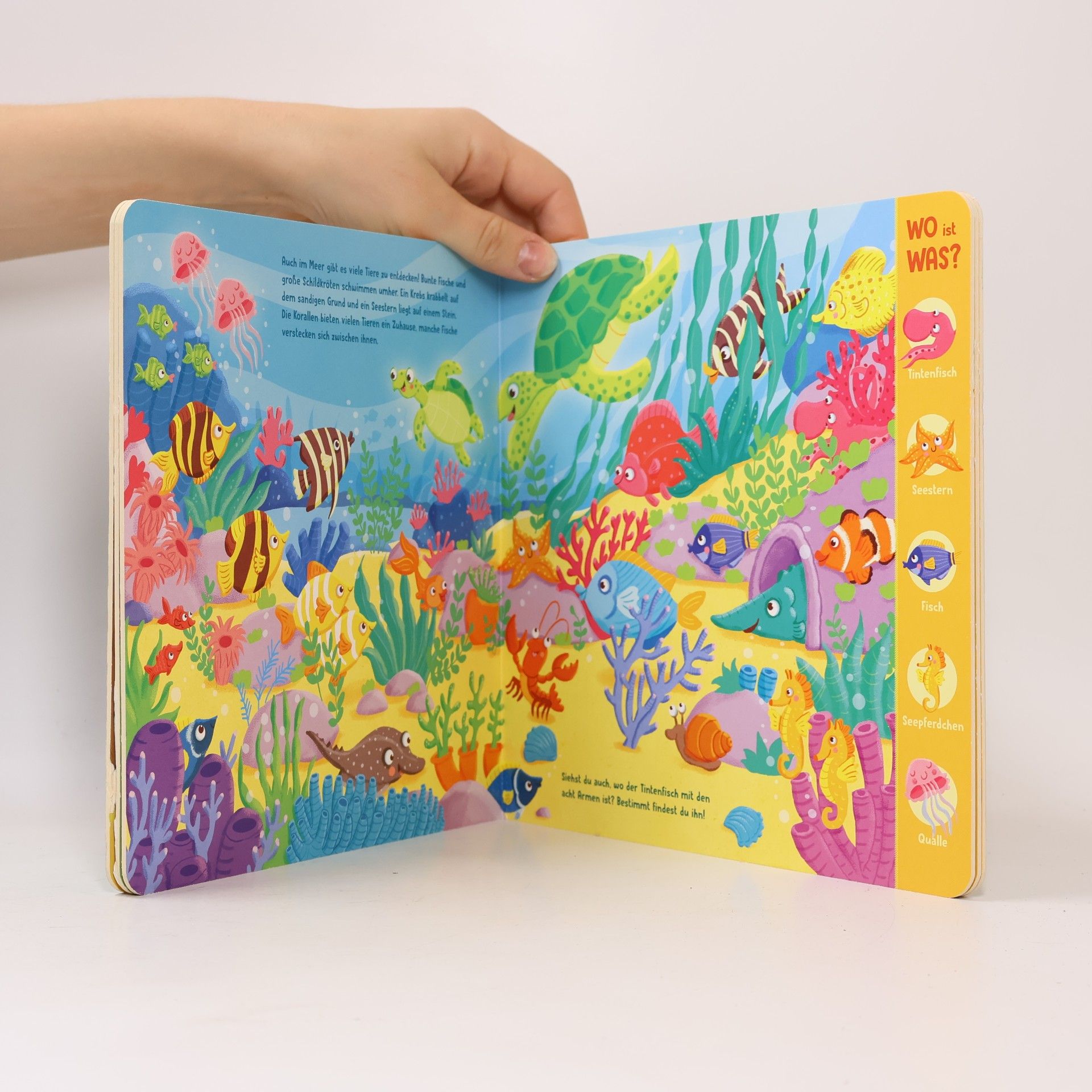 Julia Reindl WO ist WAS? Kunterbunte Welt der Tiere. Pappebuch für Kinder ab 18 Monaten