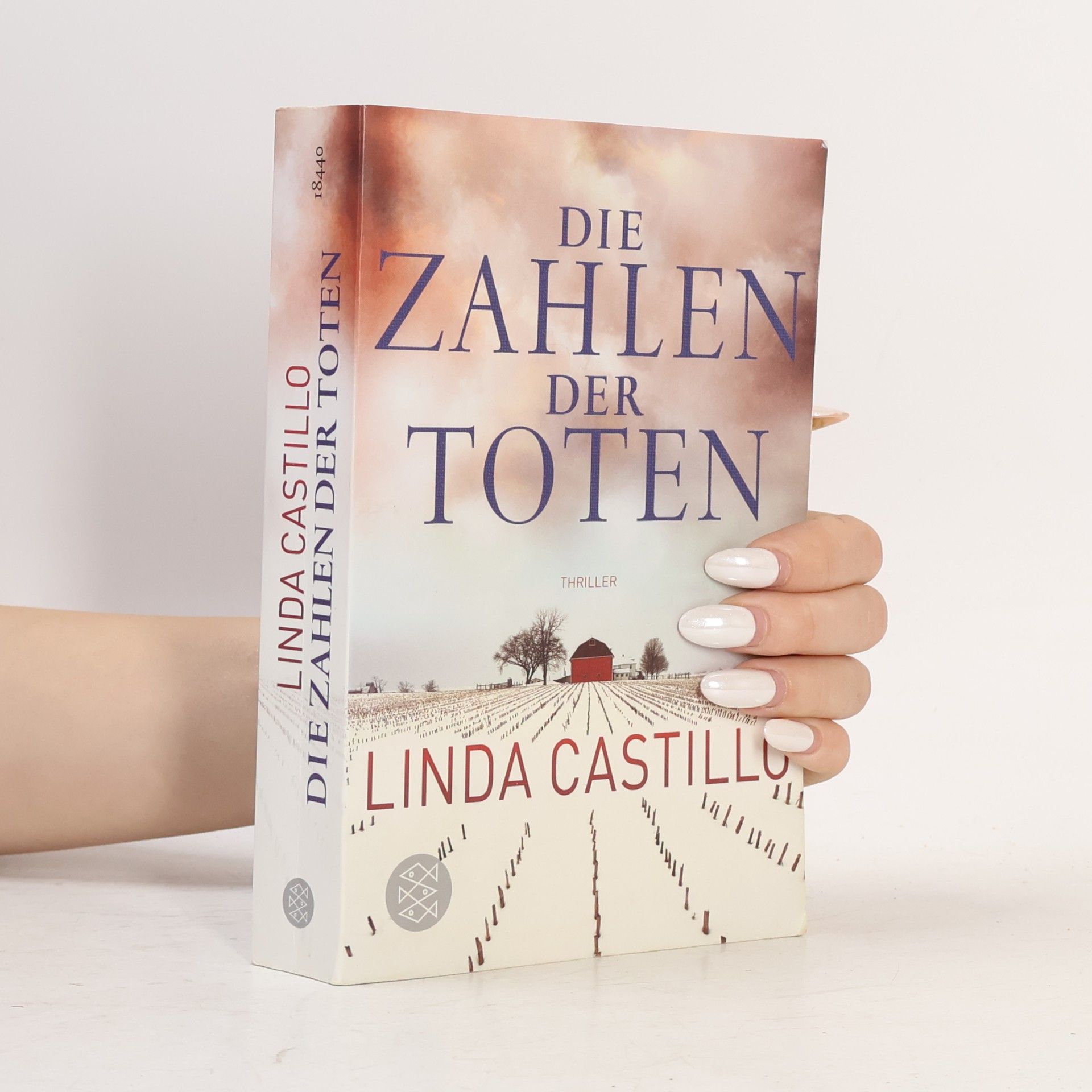 Die Zahlen der Toten