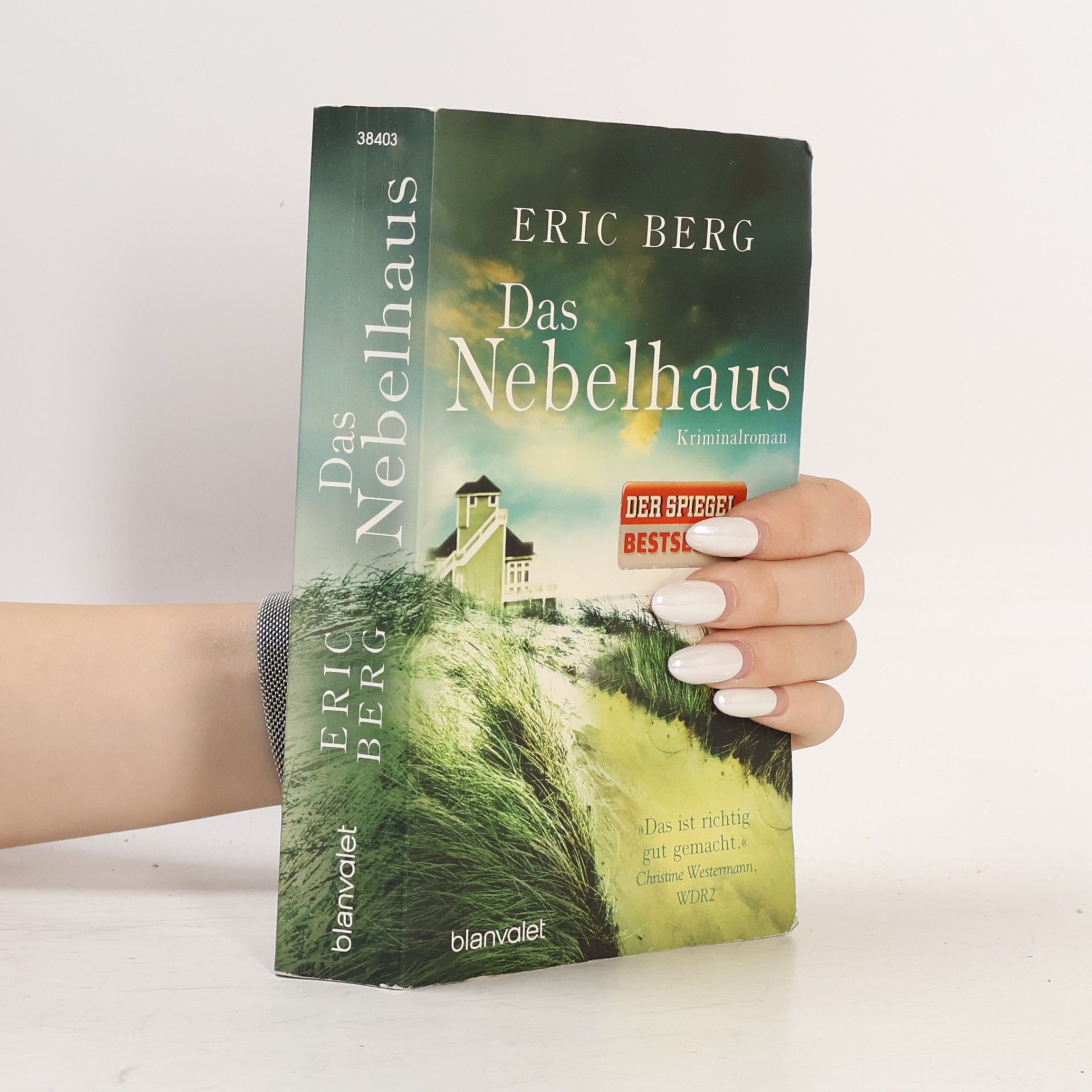 Eric Berg Das Nebelhaus