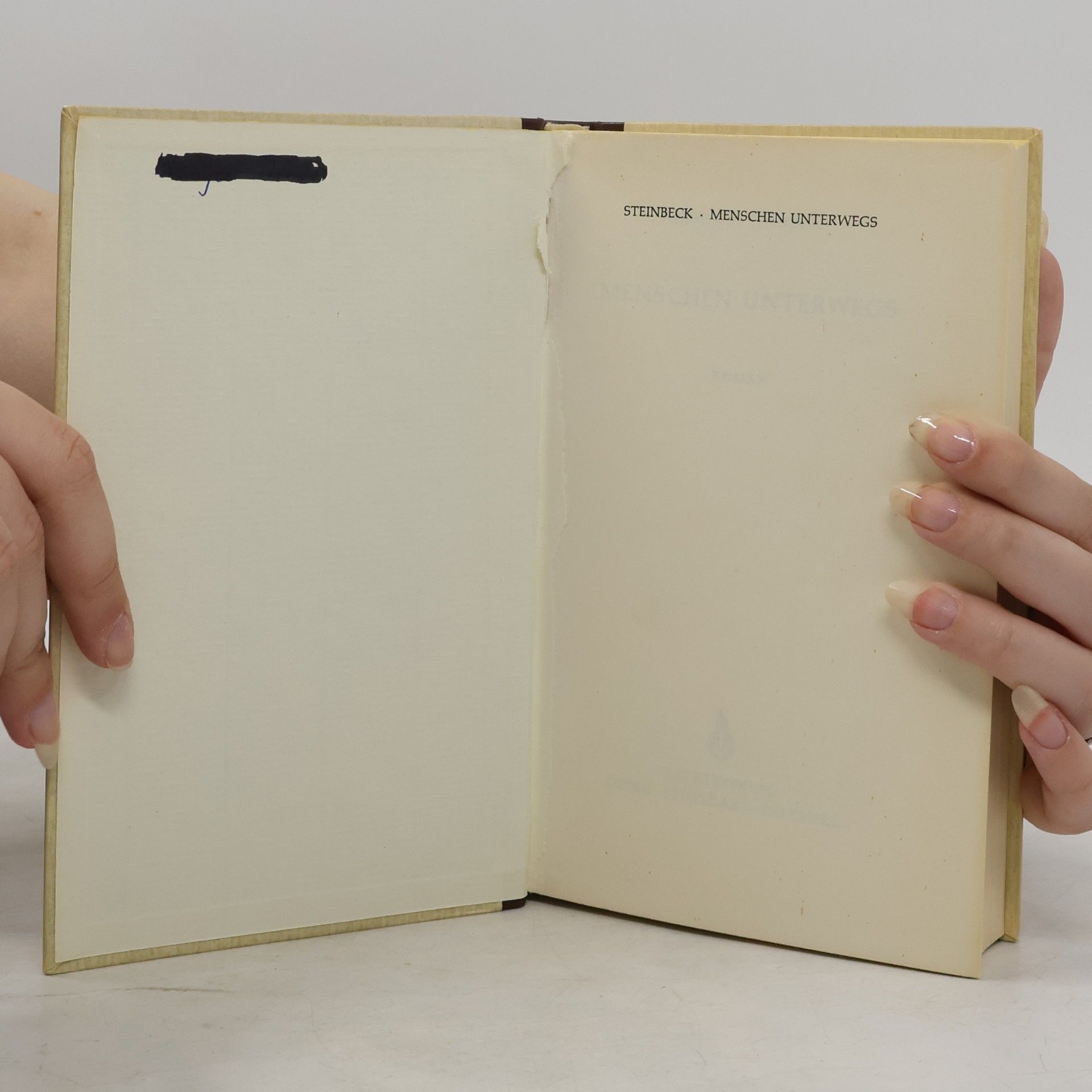 John Steinbeck Menschen unterwegs