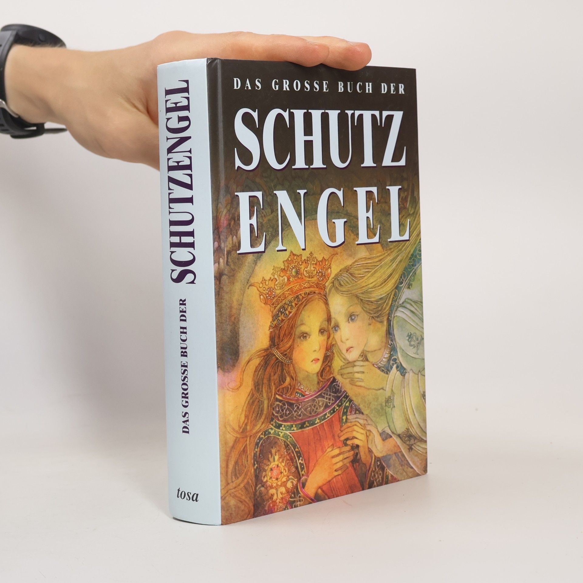 Peter Michel Das große Buch der Schutzengel