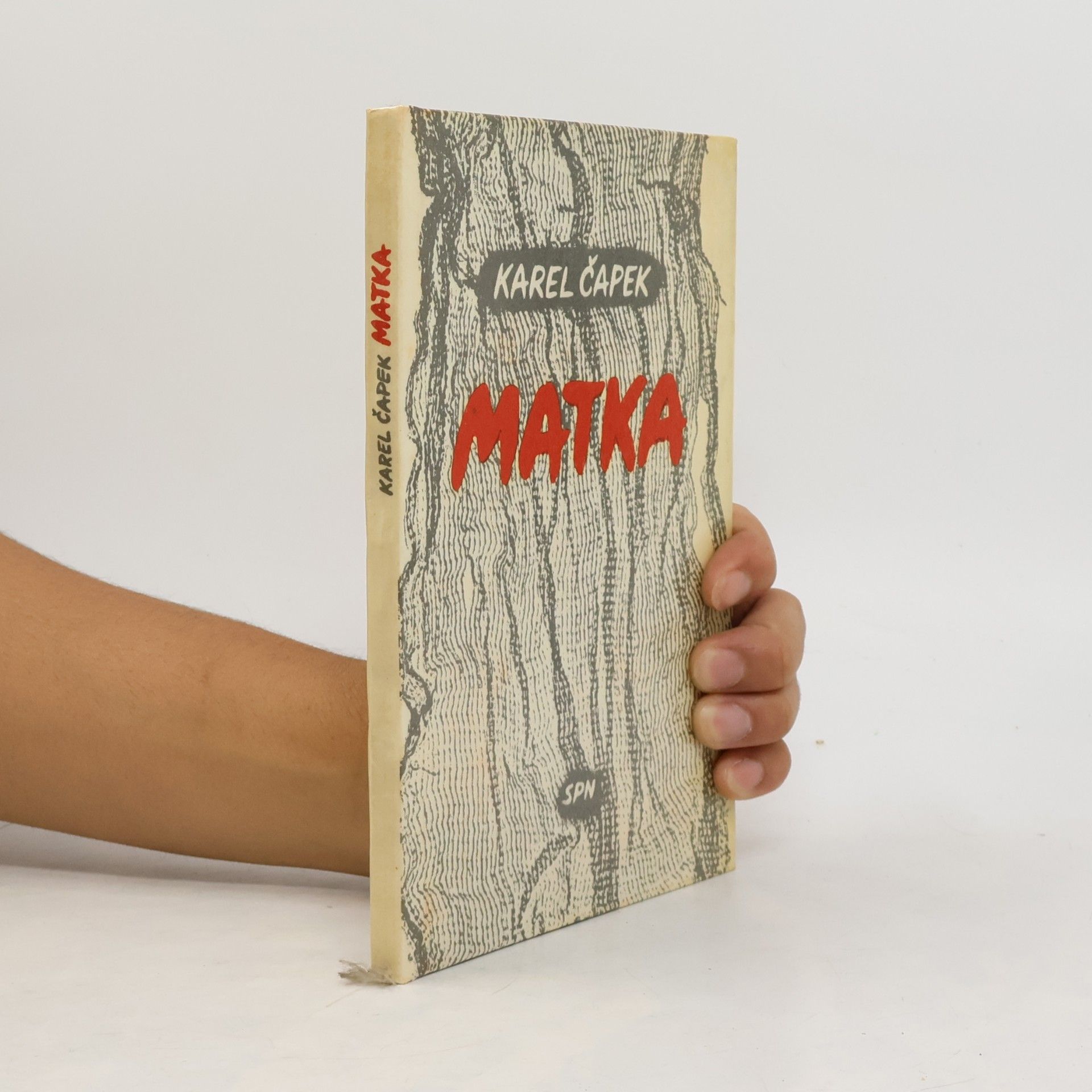 Karel Čapek Matka