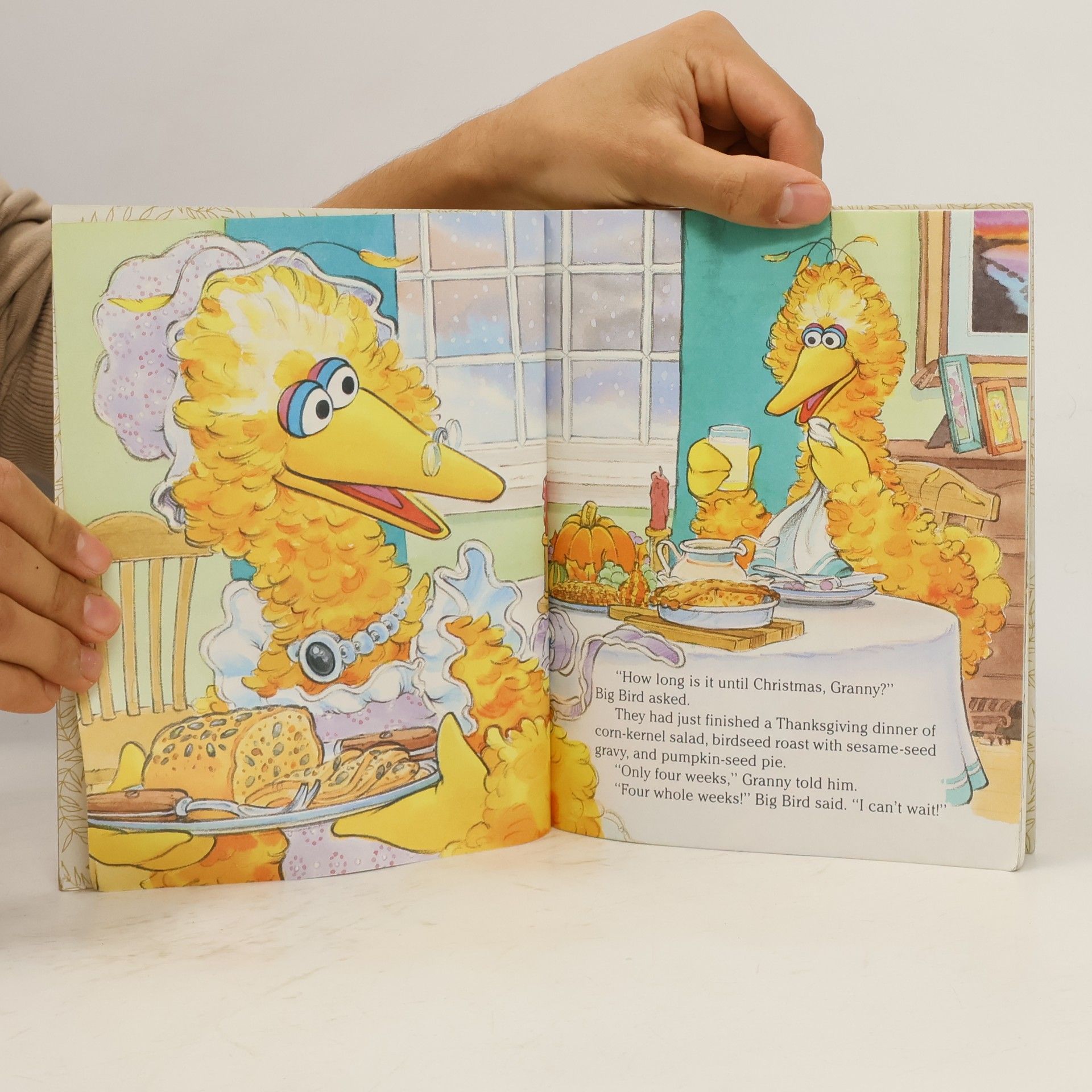 Joe Ewers Sesame Street: I Can't Wait Until Christmas