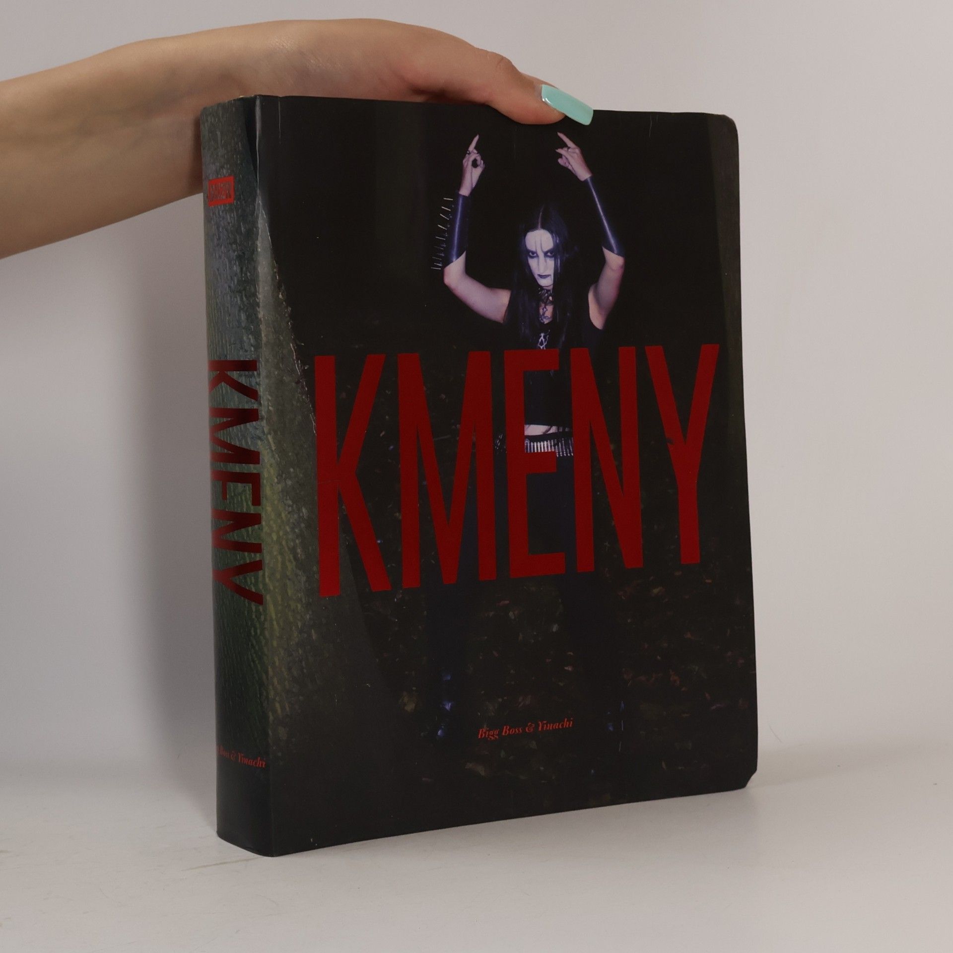 Tomáš Souček Kmeny. Současné městské subkultury