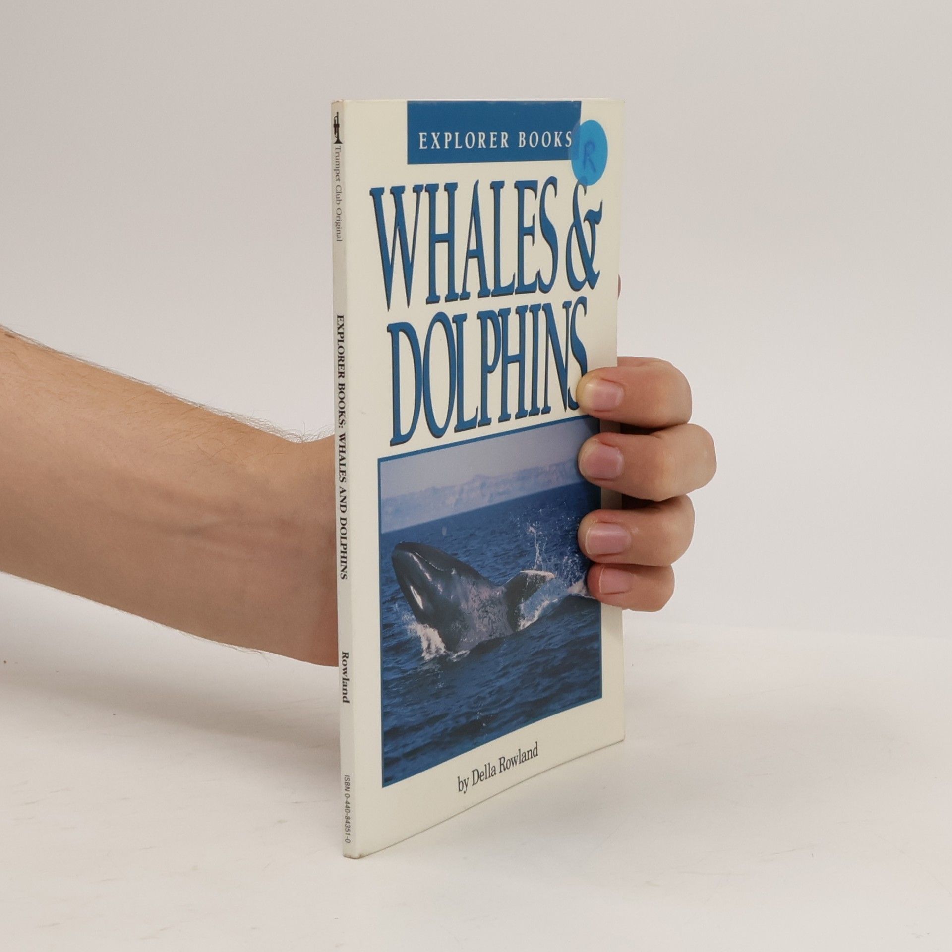 Della Rowland Explorer Books: Whales & Dolphins