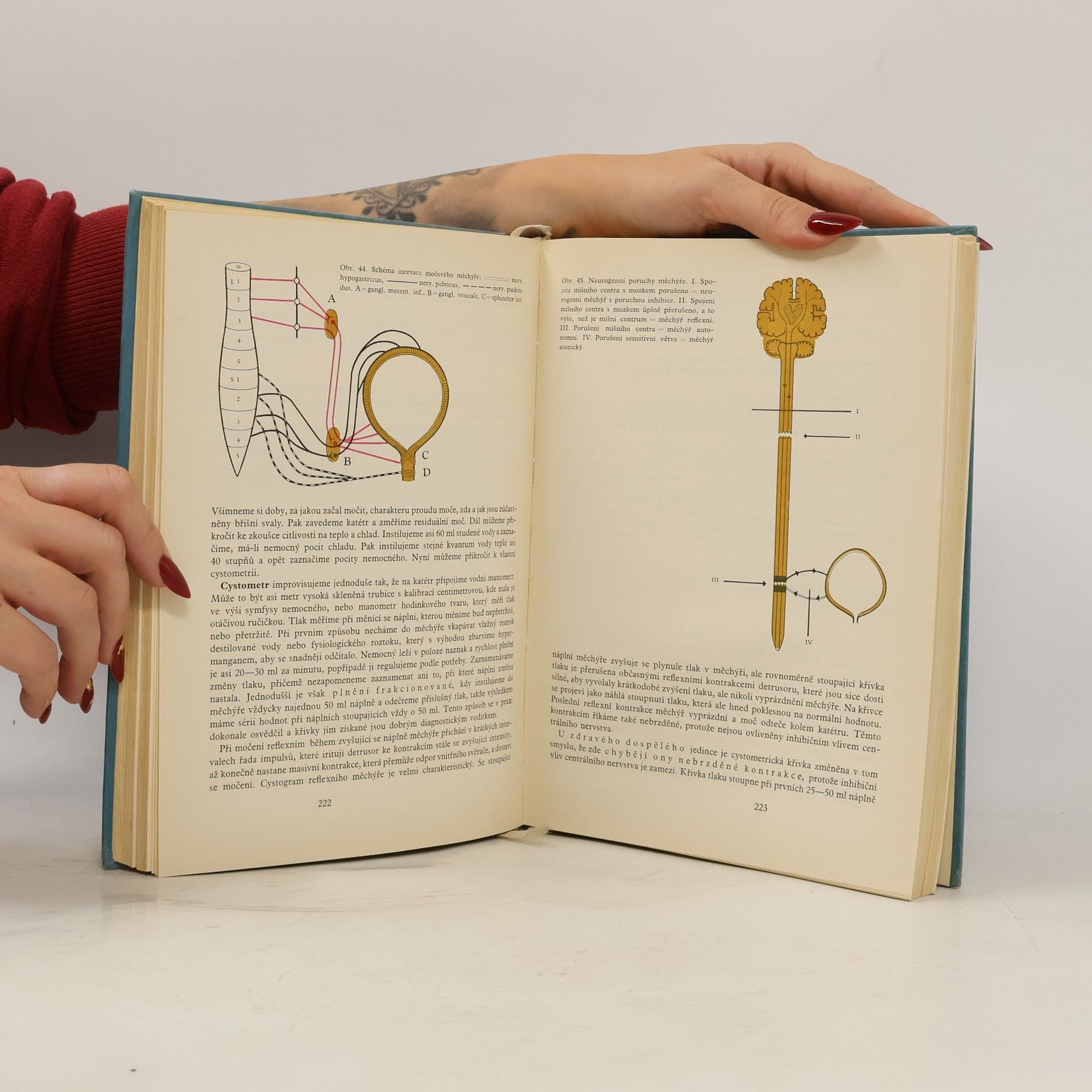 Karel Neuwirth Praktická urologie