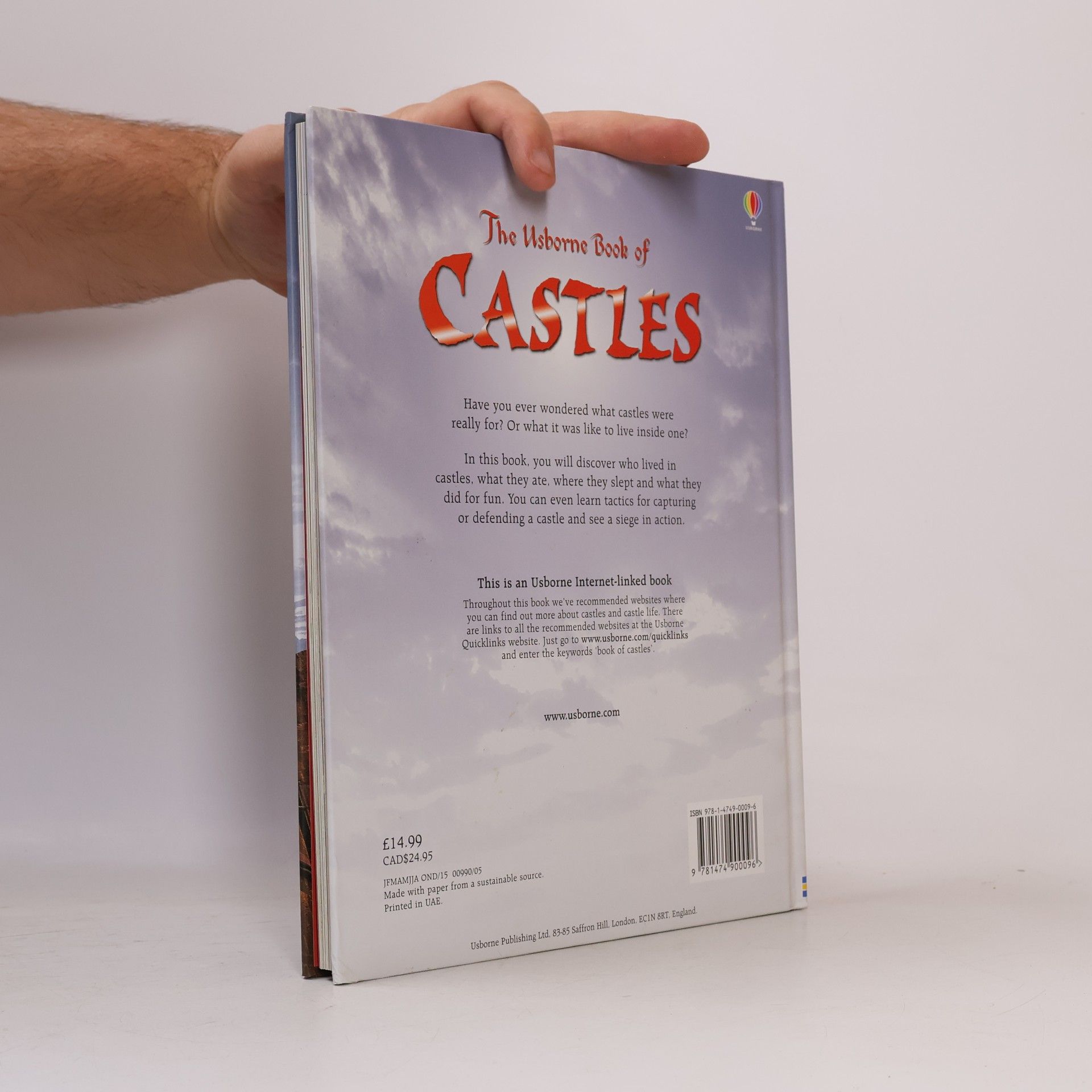 Lesley Sims The Usborne Book of Castles