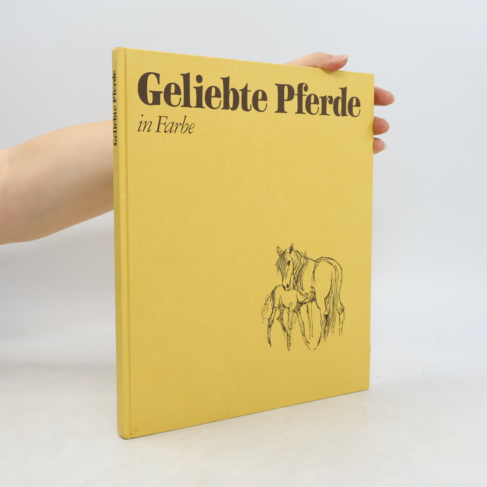 Autorenkollektiv Geliebte Pferde