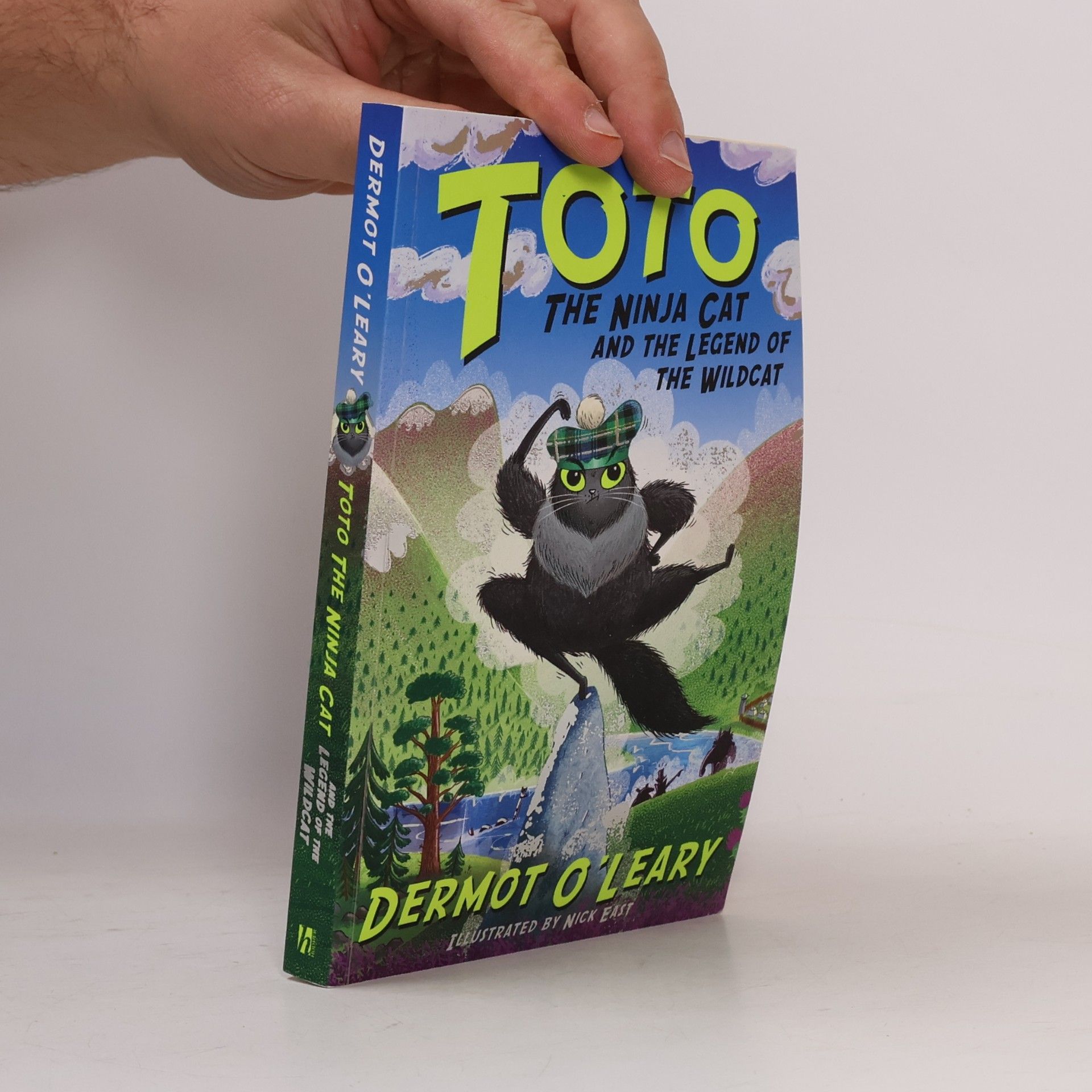 Dermot O\'Leary Toto the Ninja Cat and the Legend of the Wildcat