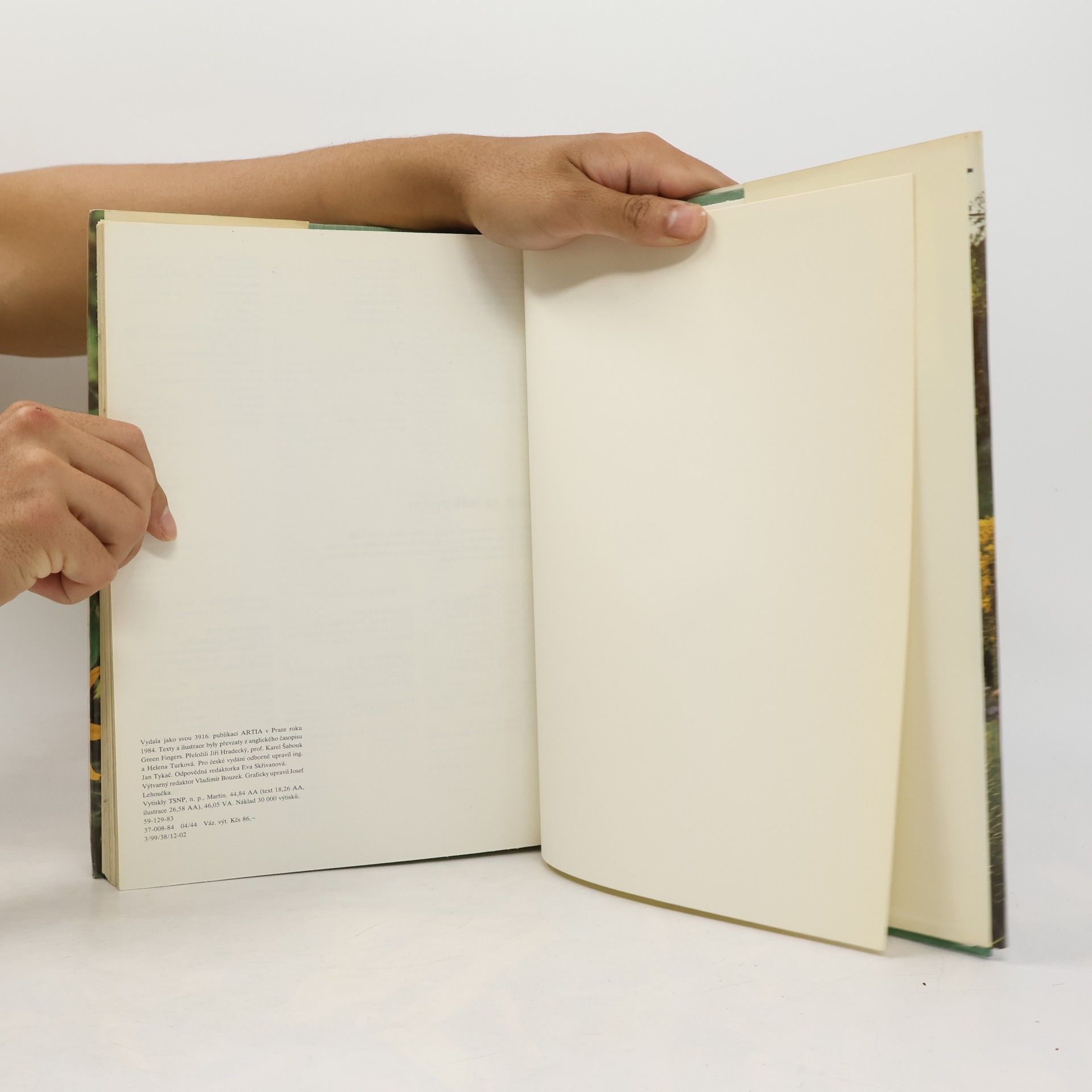 Various authors Léto v zahradě