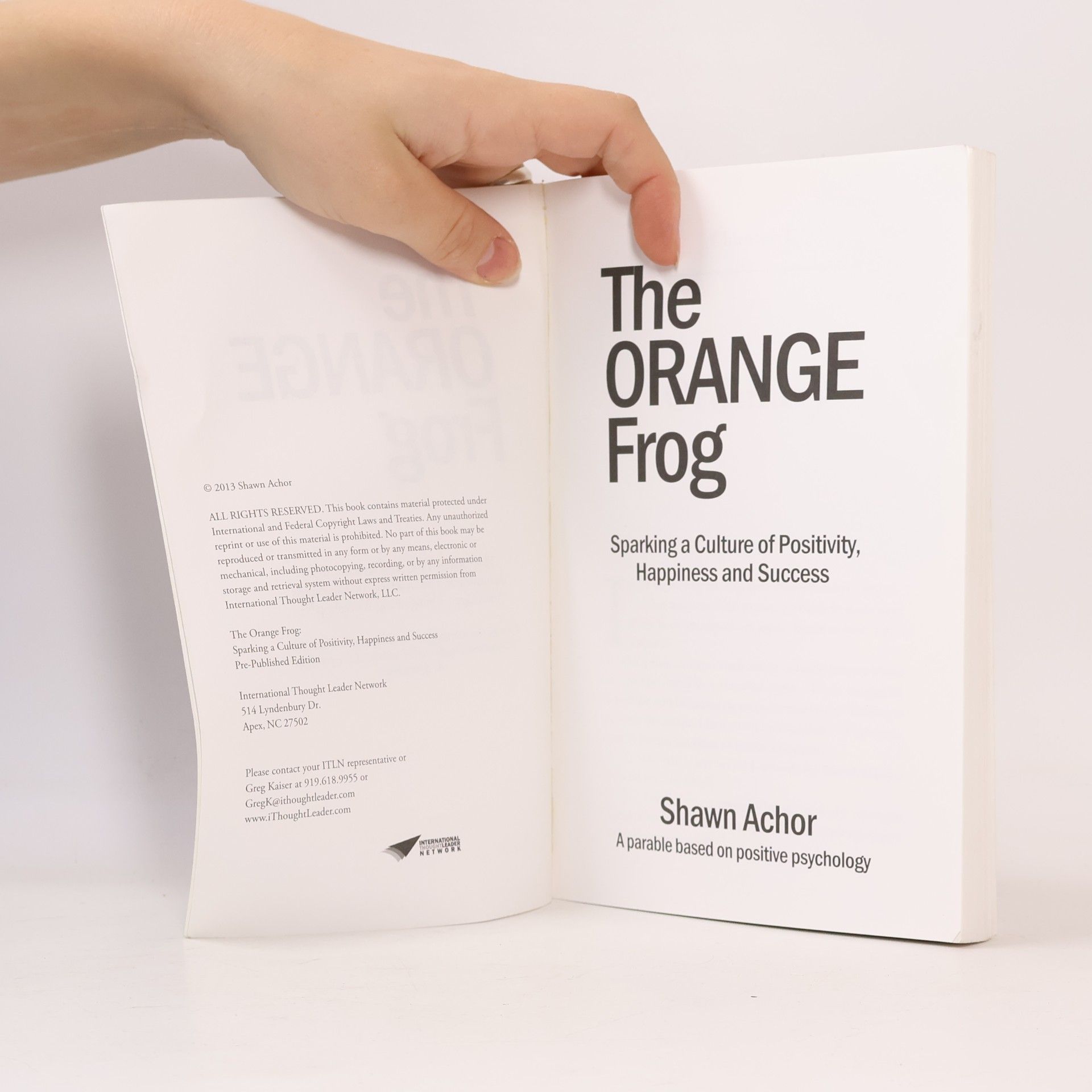 Shawn Achor The Orange Frog