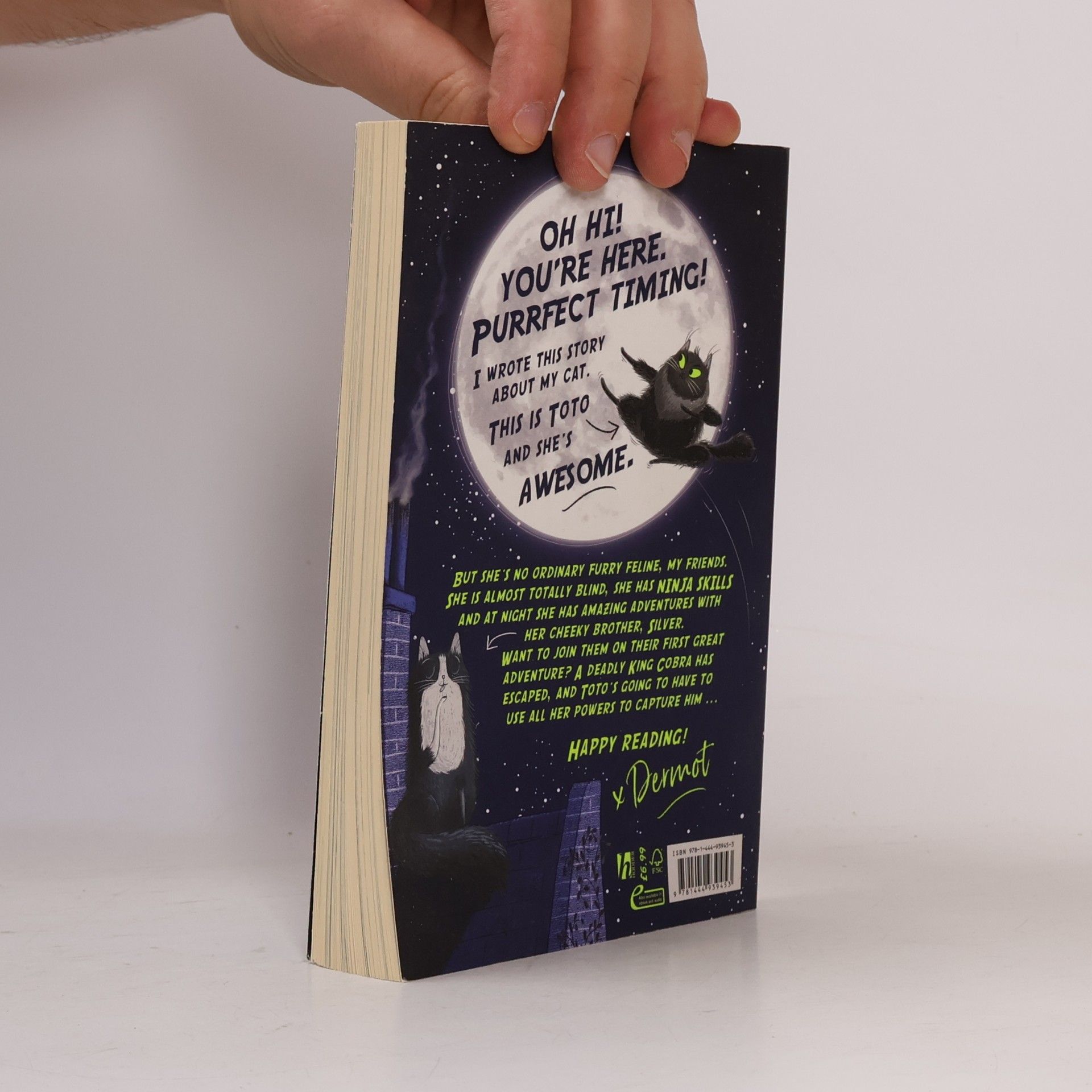 Dermot O\'Leary Toto the Ninja Cat and the Great Snake Escape