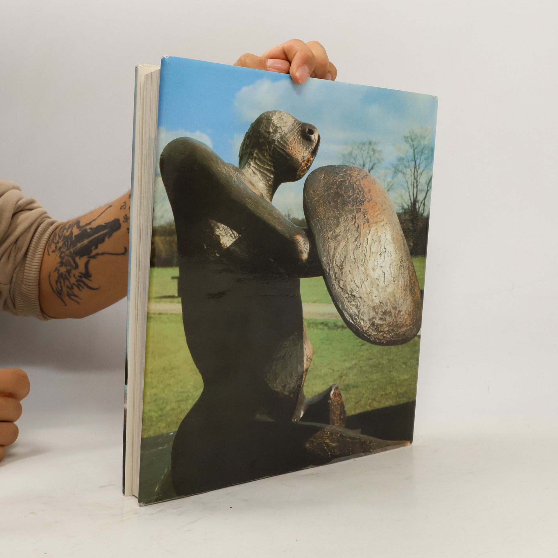 Henry Moore Henry Moore. Plastiky a myšlenky kolem nich
