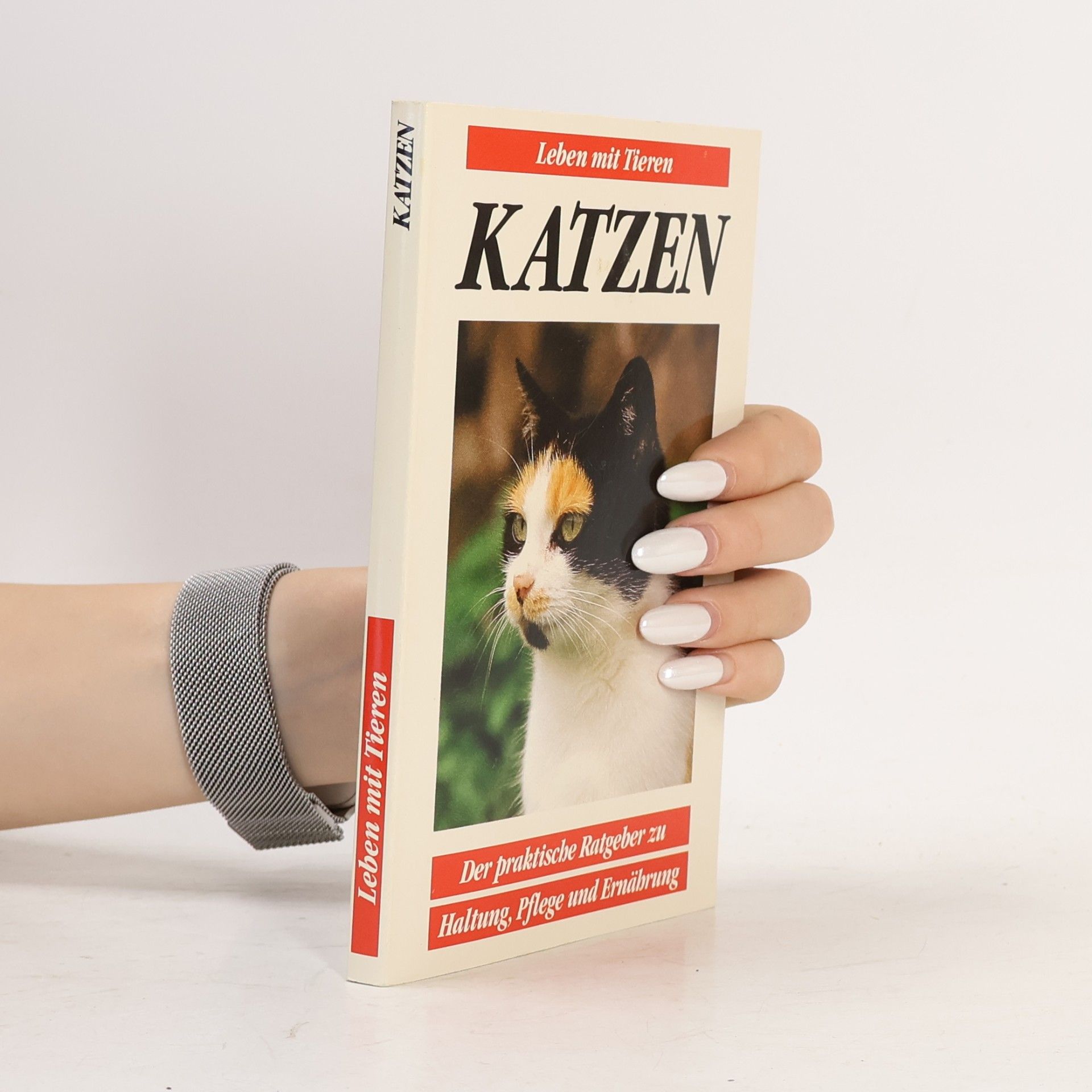 AA.VV. Katzen