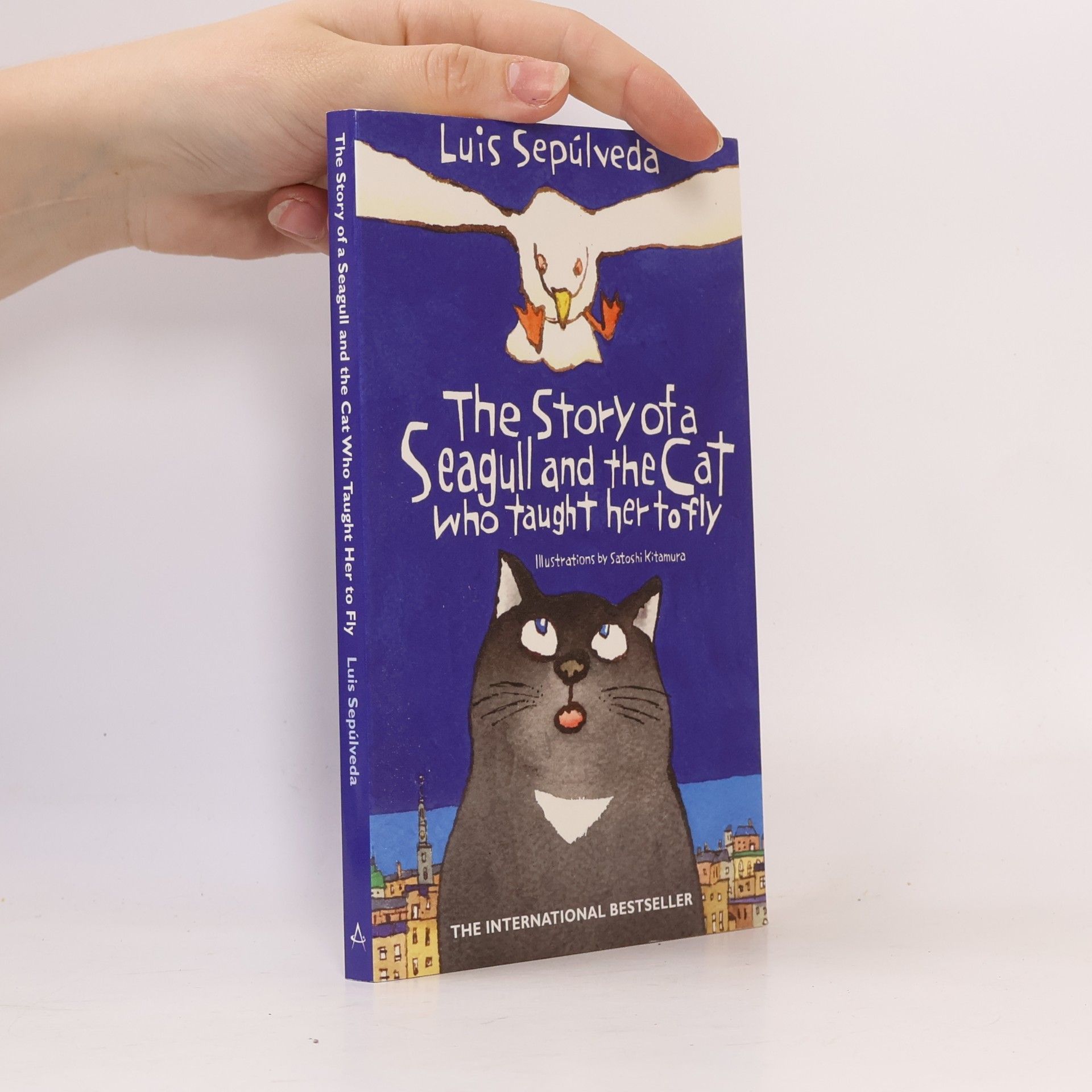 Satoshi Kitamura The Story of a Seagull and the Cat Who Taught Her to Fly