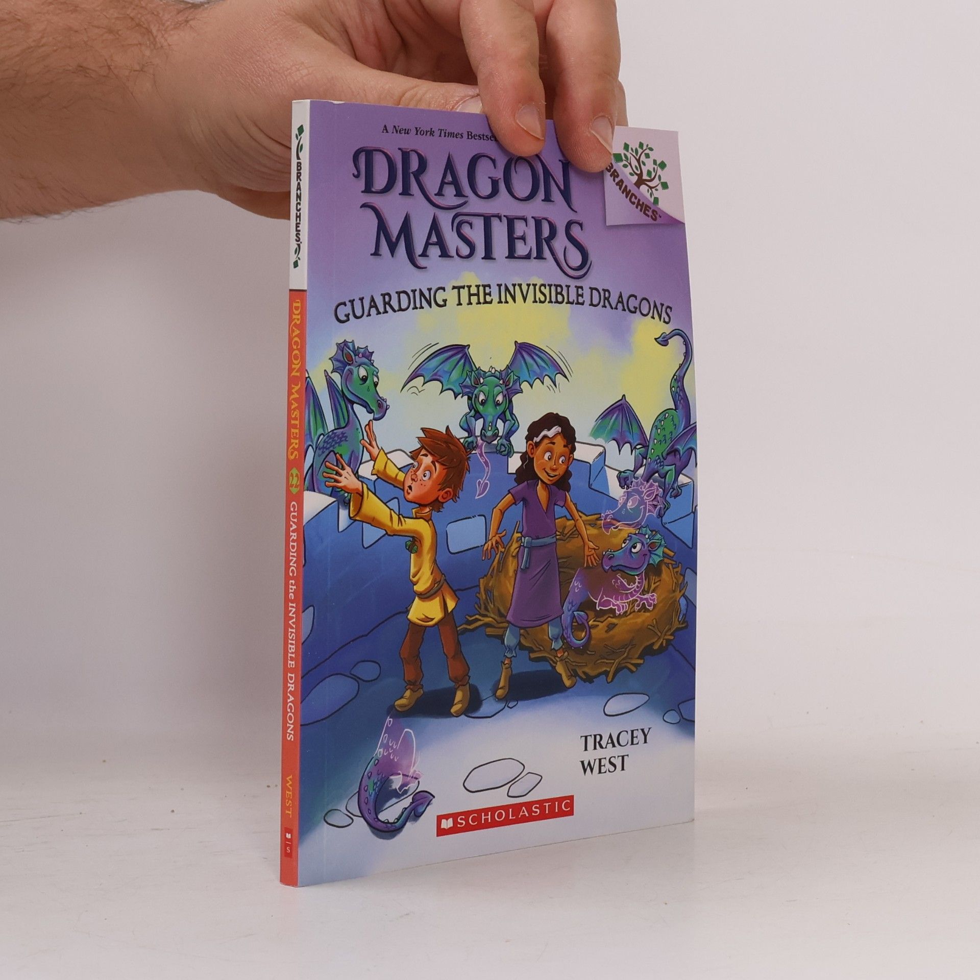 Guarding the Invisible Dragons: A Branches Book (Dragon Masters #22)