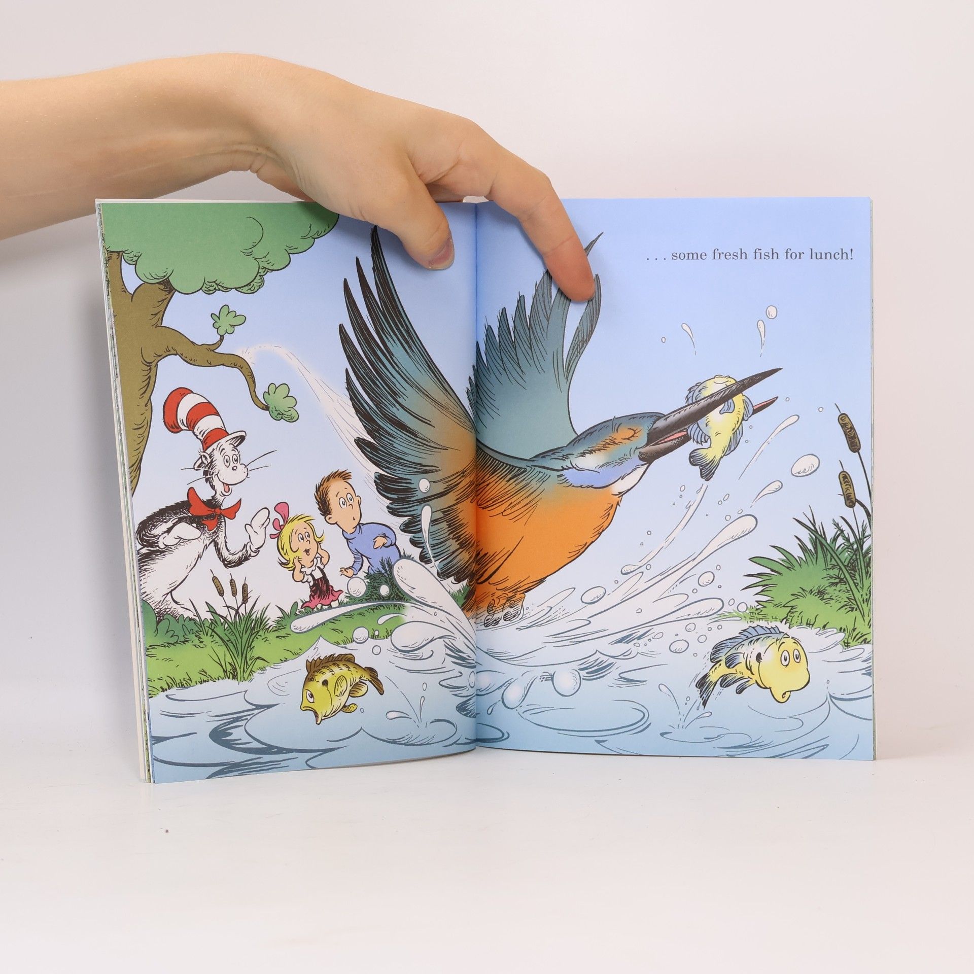 Bonnie Worth The Cat in the Hat's Learning Library: Would You Rather Be a Tadpole?