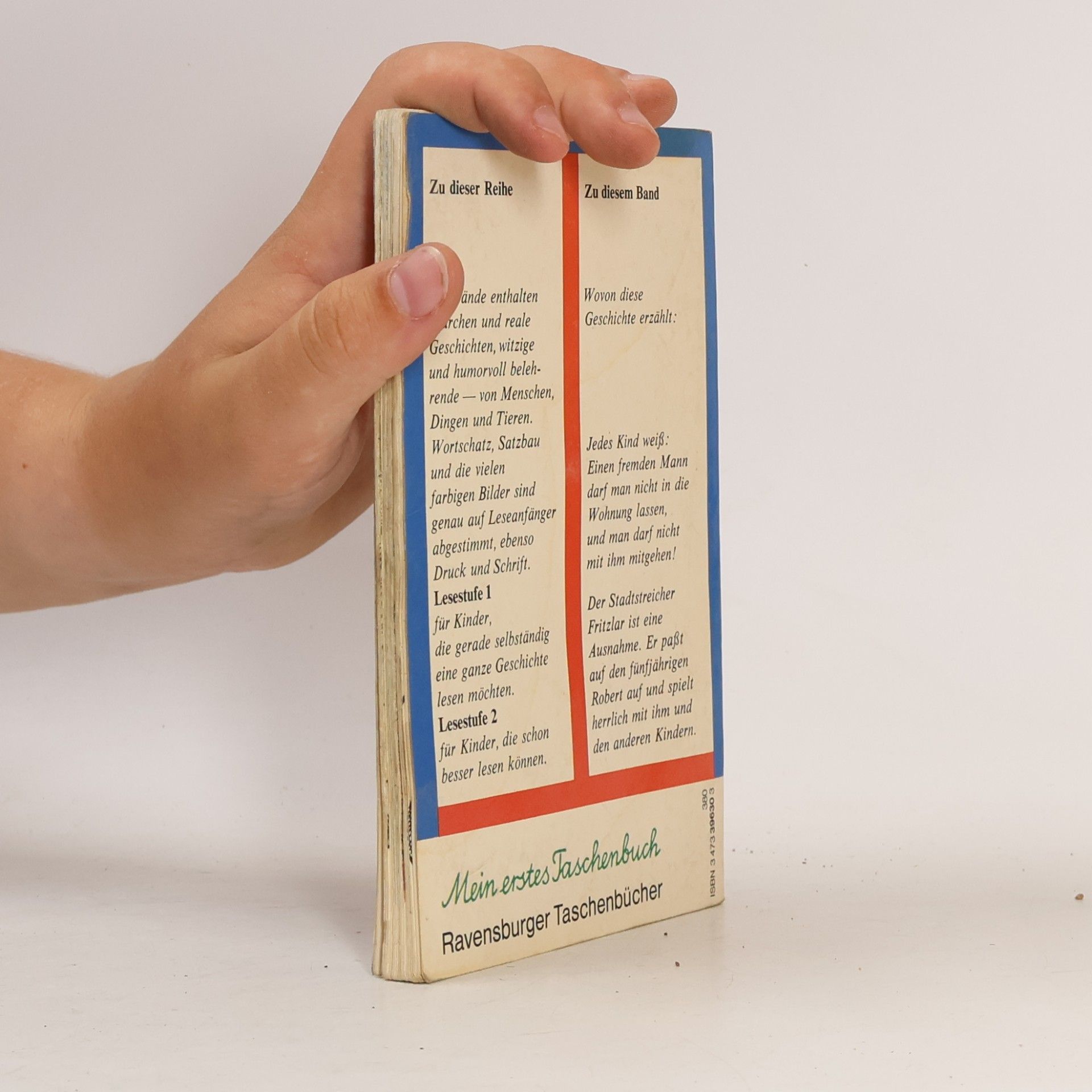 Robert Lööf Mein erstes Taschenbuch - 30: Robert und der Stadtstreicher