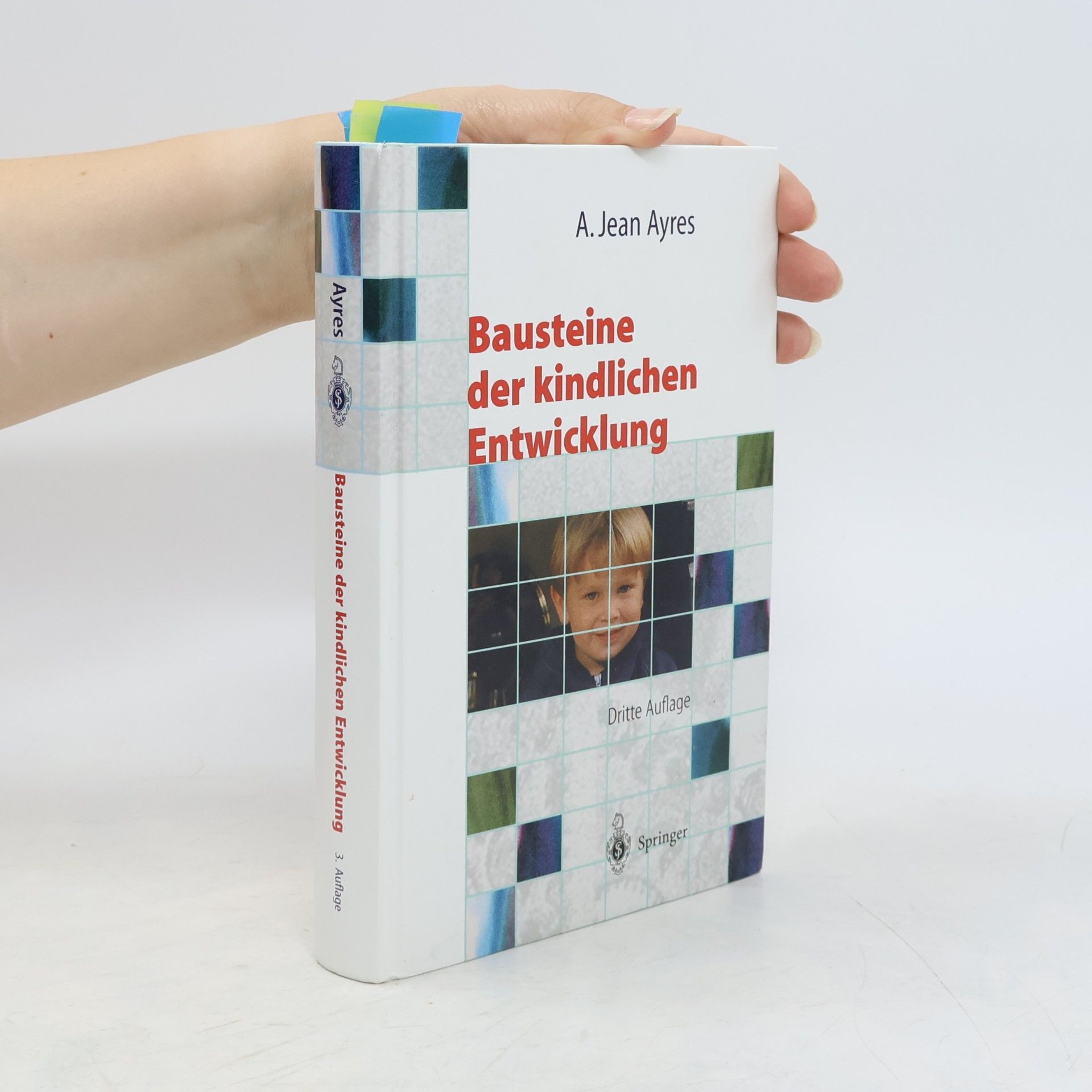 Anna Jean Ayres Bausteine der kindlichen Entwicklung