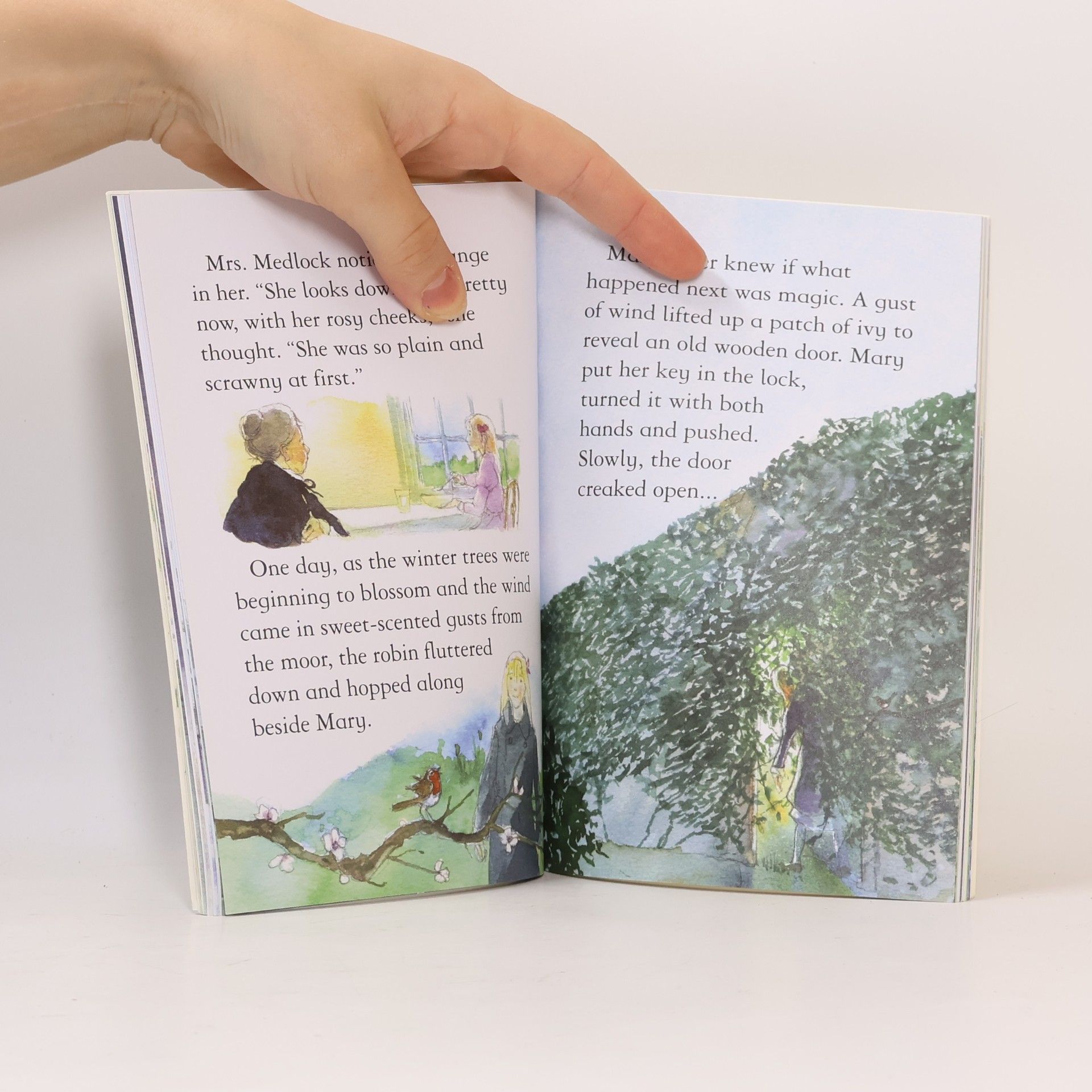 Mary Sebag-Montefiore  Usborne Young Reading - 2: The Secret Garden