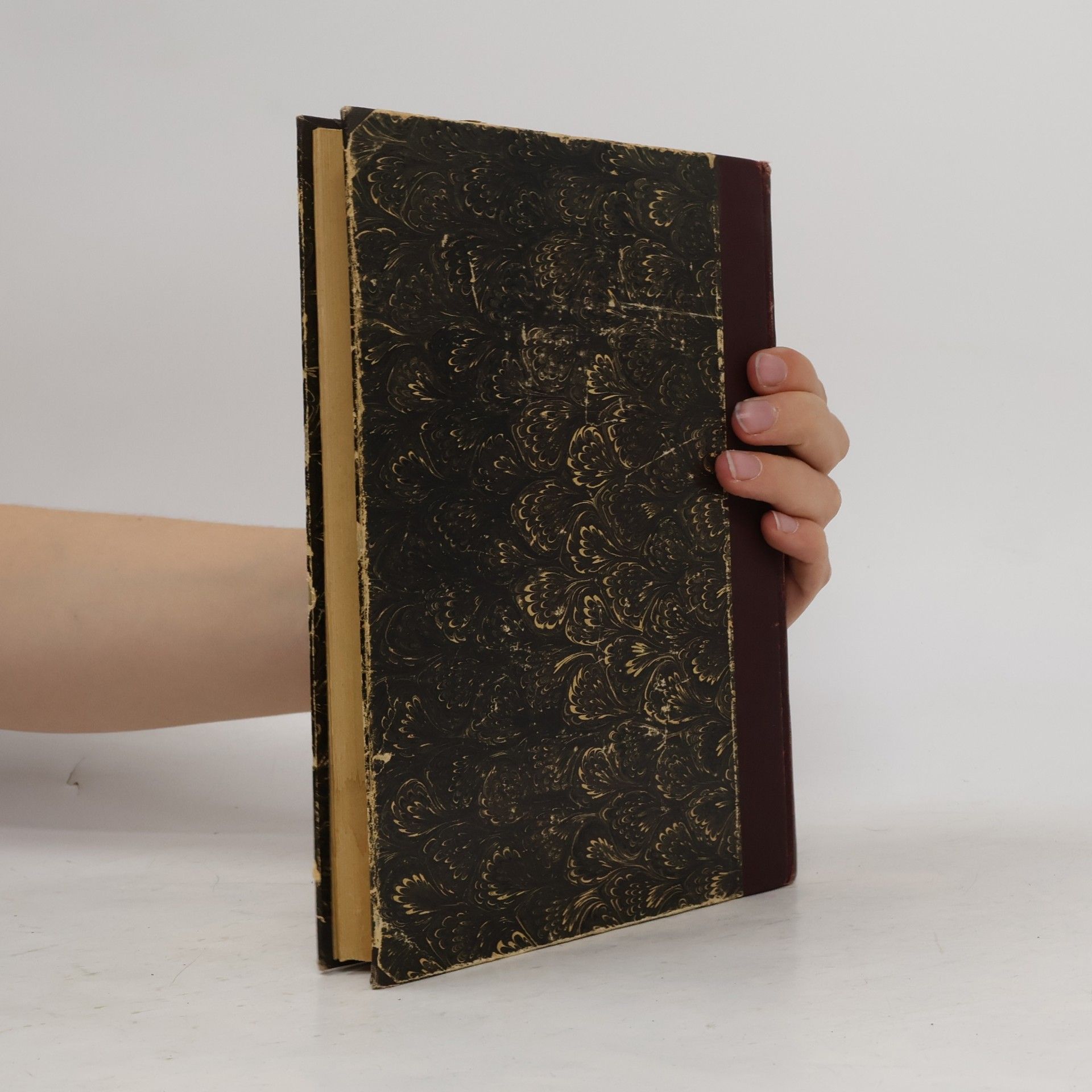 Jan Hus Bernard Mistra Jana Husi Sebrané spisy I.