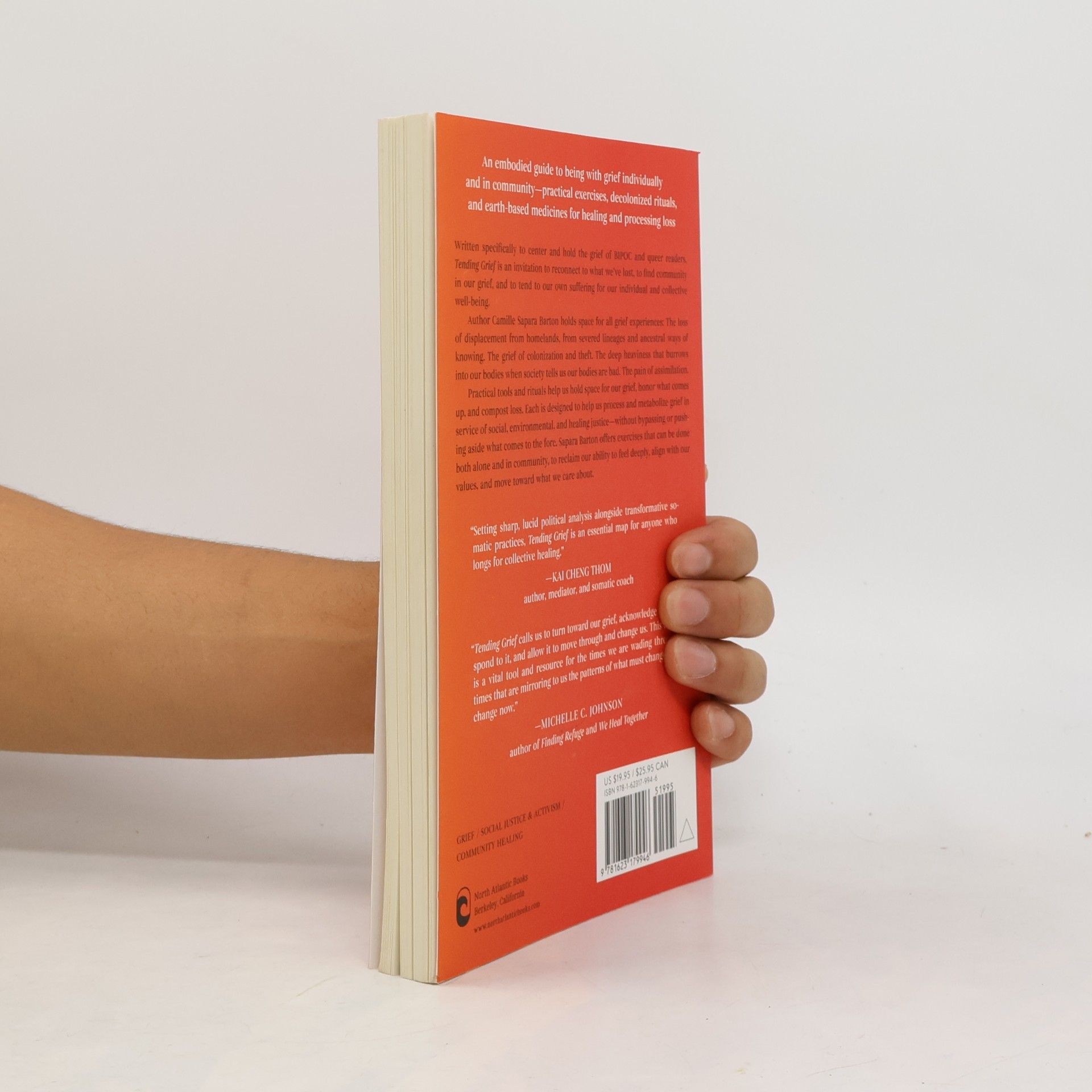 Camille Sapara Barton Tending Grief