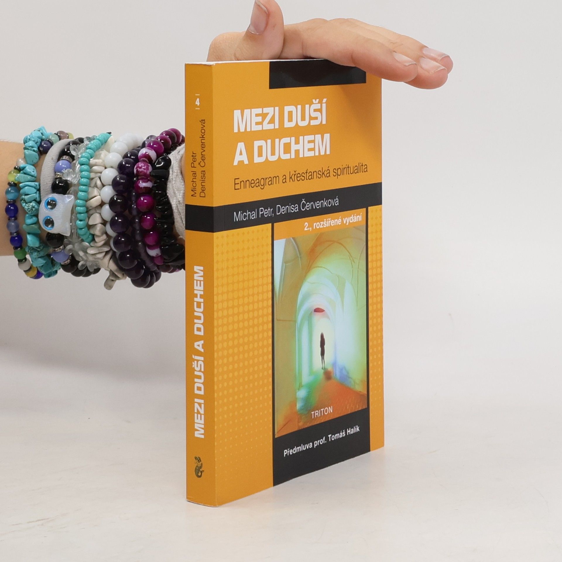 Mezi duší a duchem: Enneagram a křesťanská spiritualita