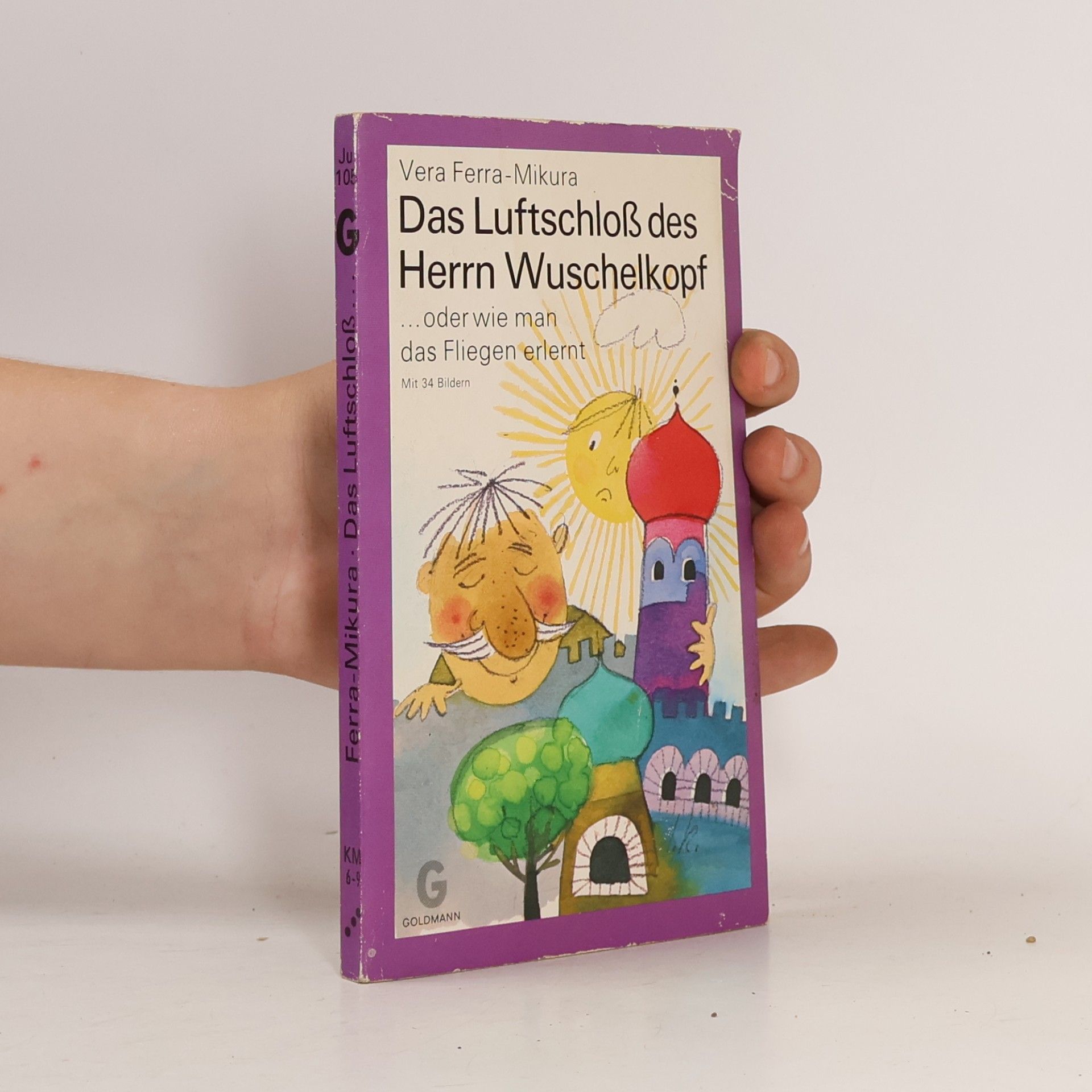 Vera Ferra-Mikura Das Luftschloß des Herrn Wuschelkopf, oder wie man das Fliegen erlernt.