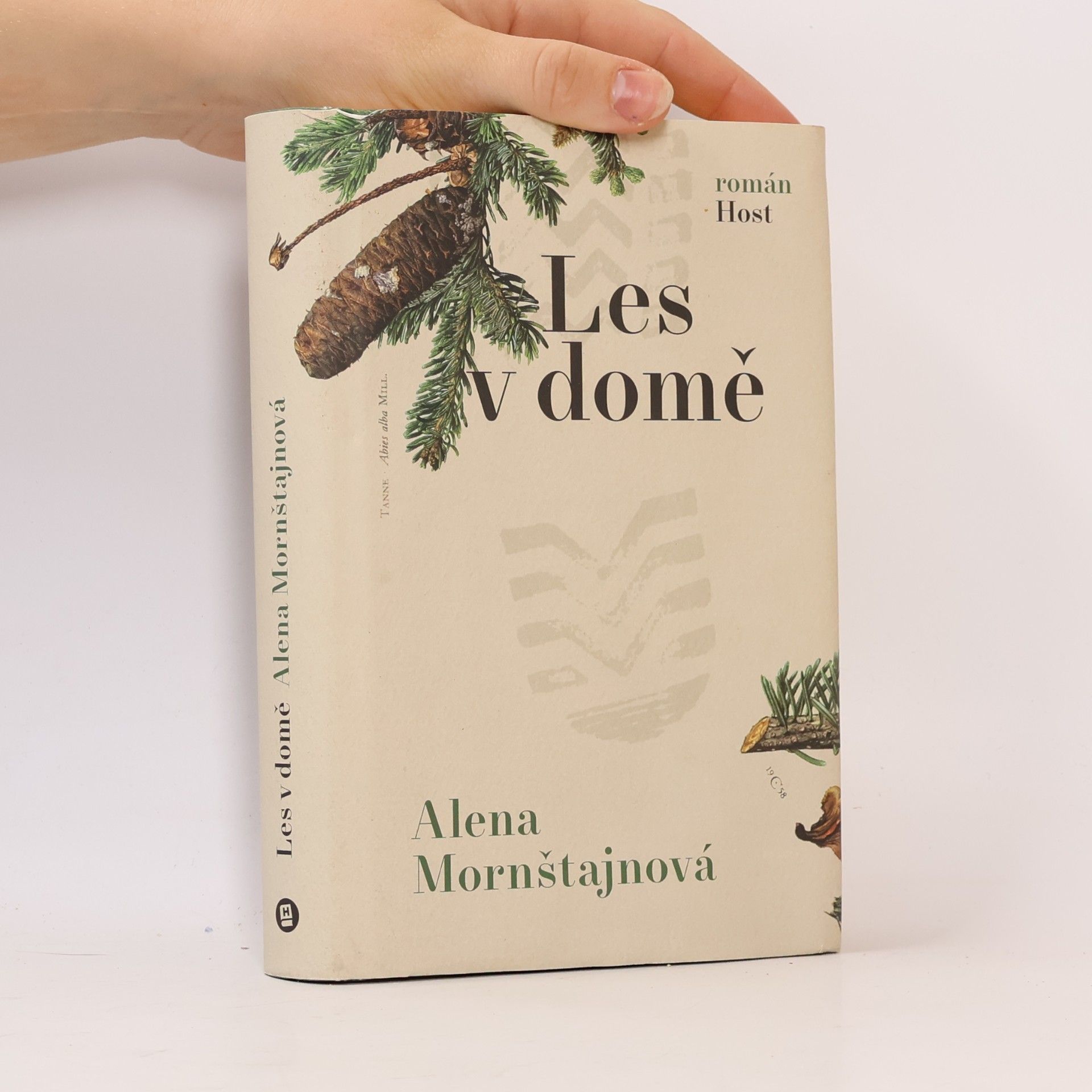 Alena Mornštajnová Les v domě