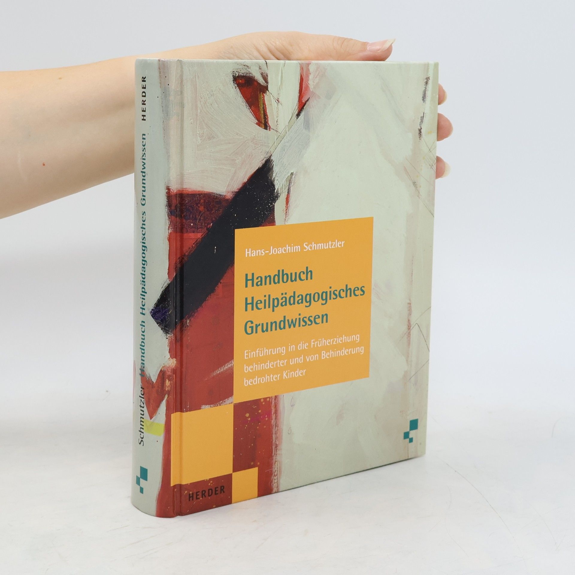 Hans Joachim Schmutzler Handbuch heilpädagogisches Grundwissen