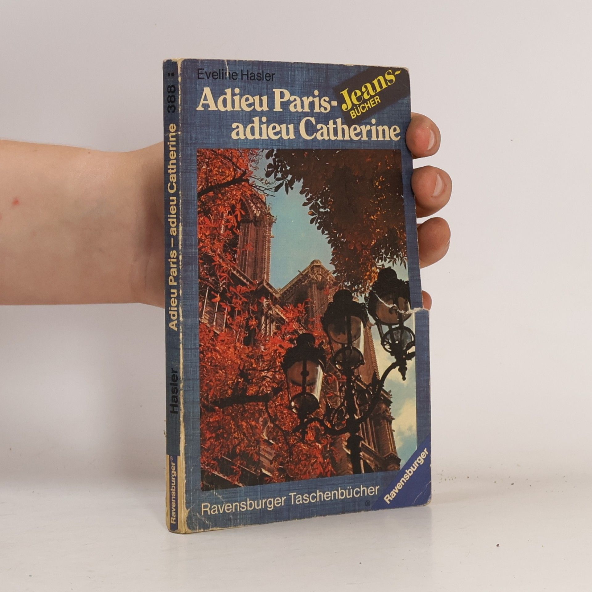 Eveline Hasler Jeans-Bücher - 388: Adieu Paris-Adieu Catherine
