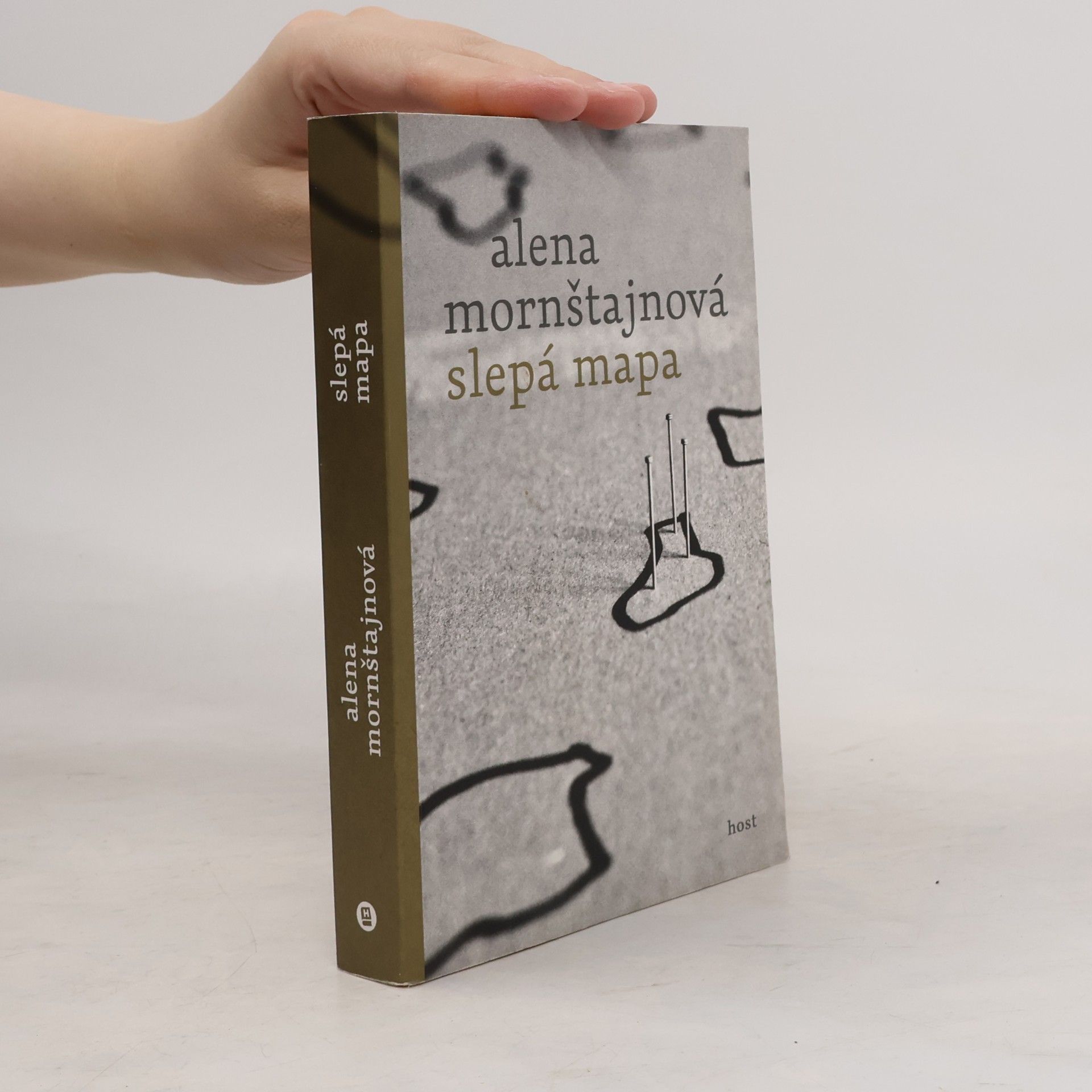 Alena Mornštajnová Slepá mapa