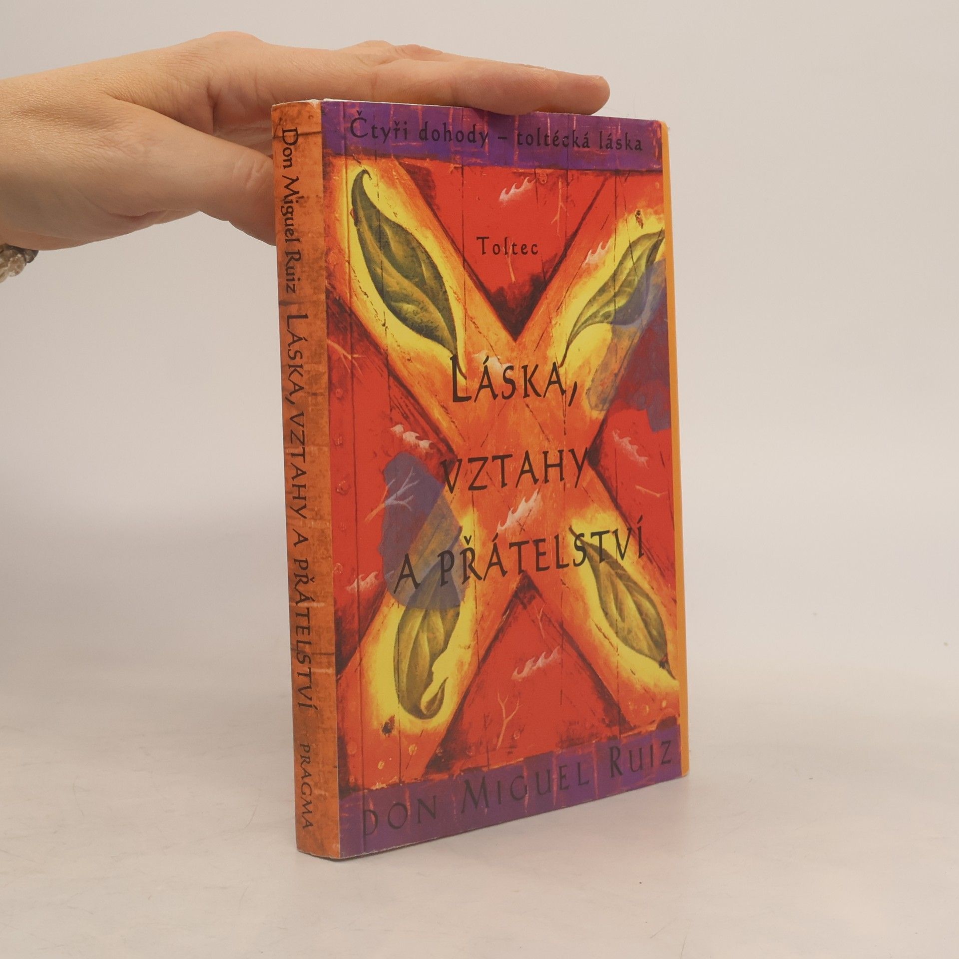 Don Miguel Ruiz Láska, vztahy a přátelství