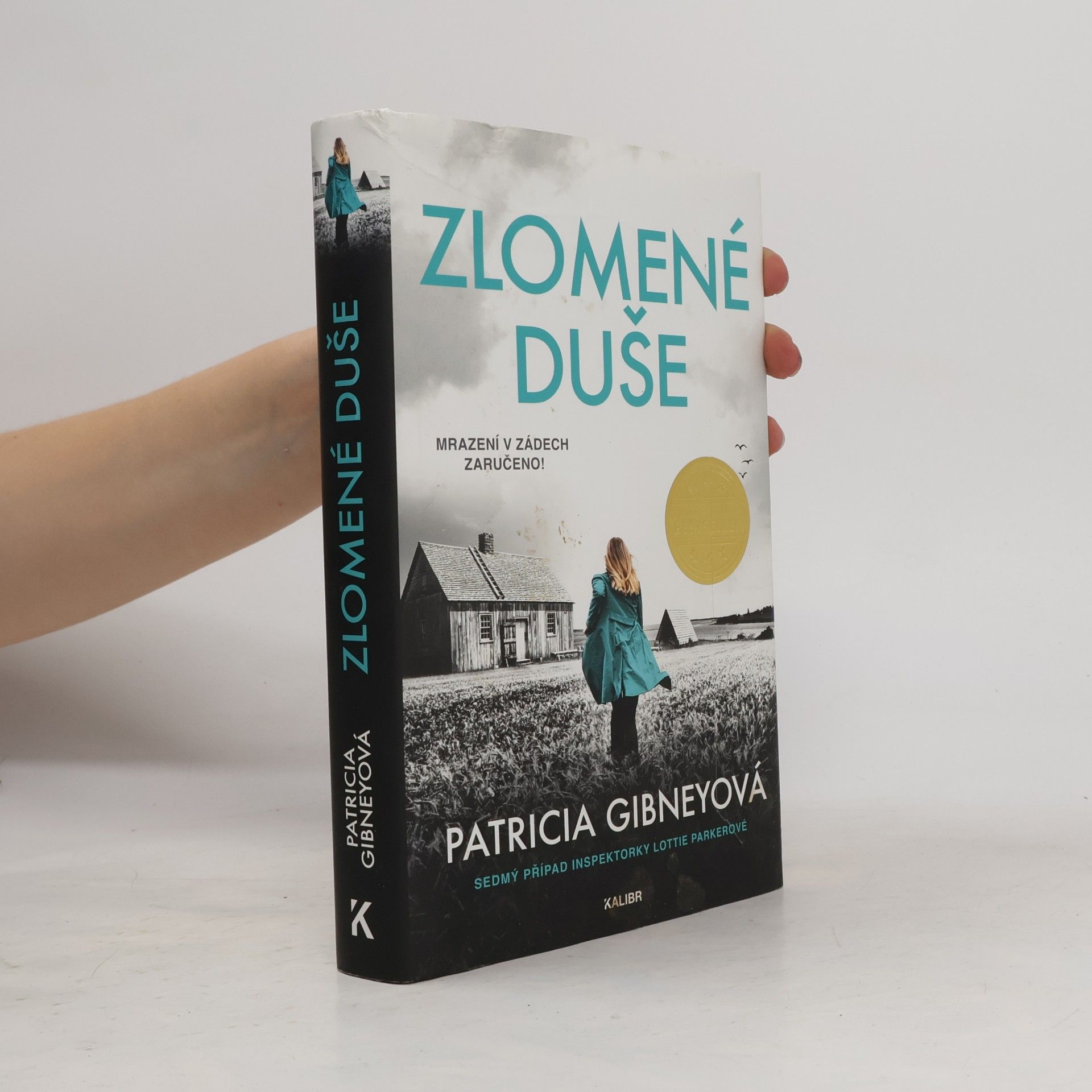 Patricia Gibney Zlomené Duše